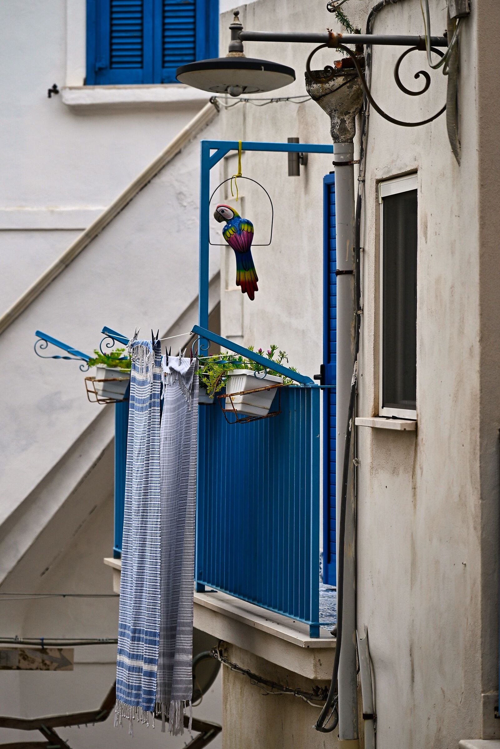 Sul balconciono a Peschici
