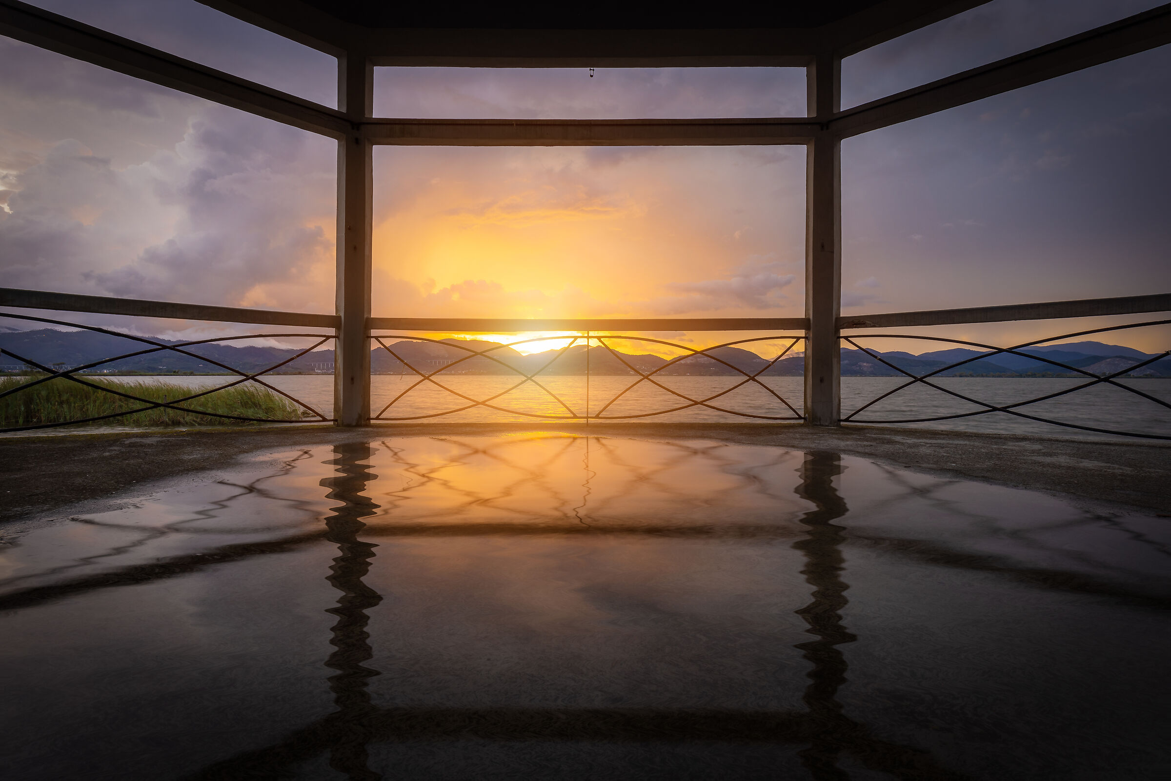 The window