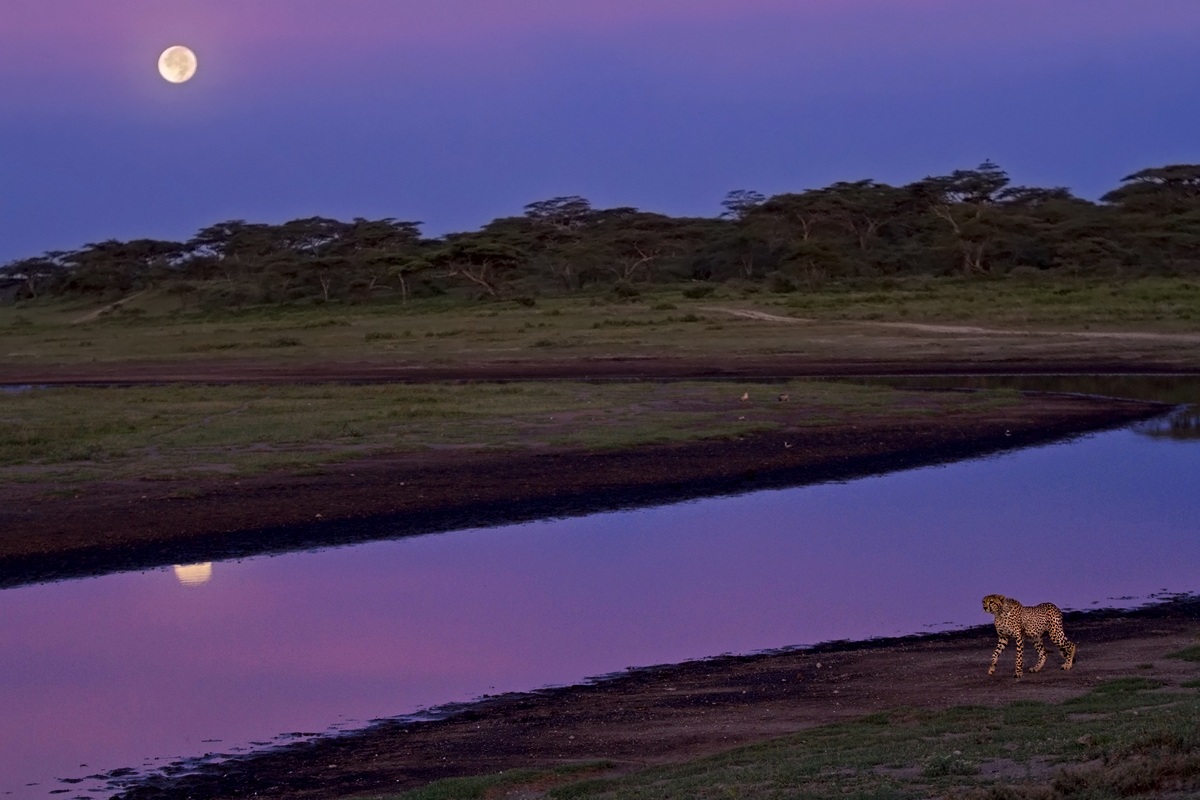 Just before the sunrise