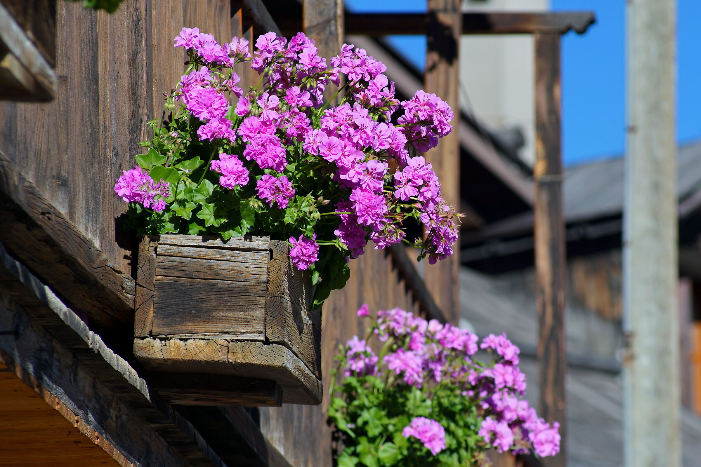 colori alta val di Susa