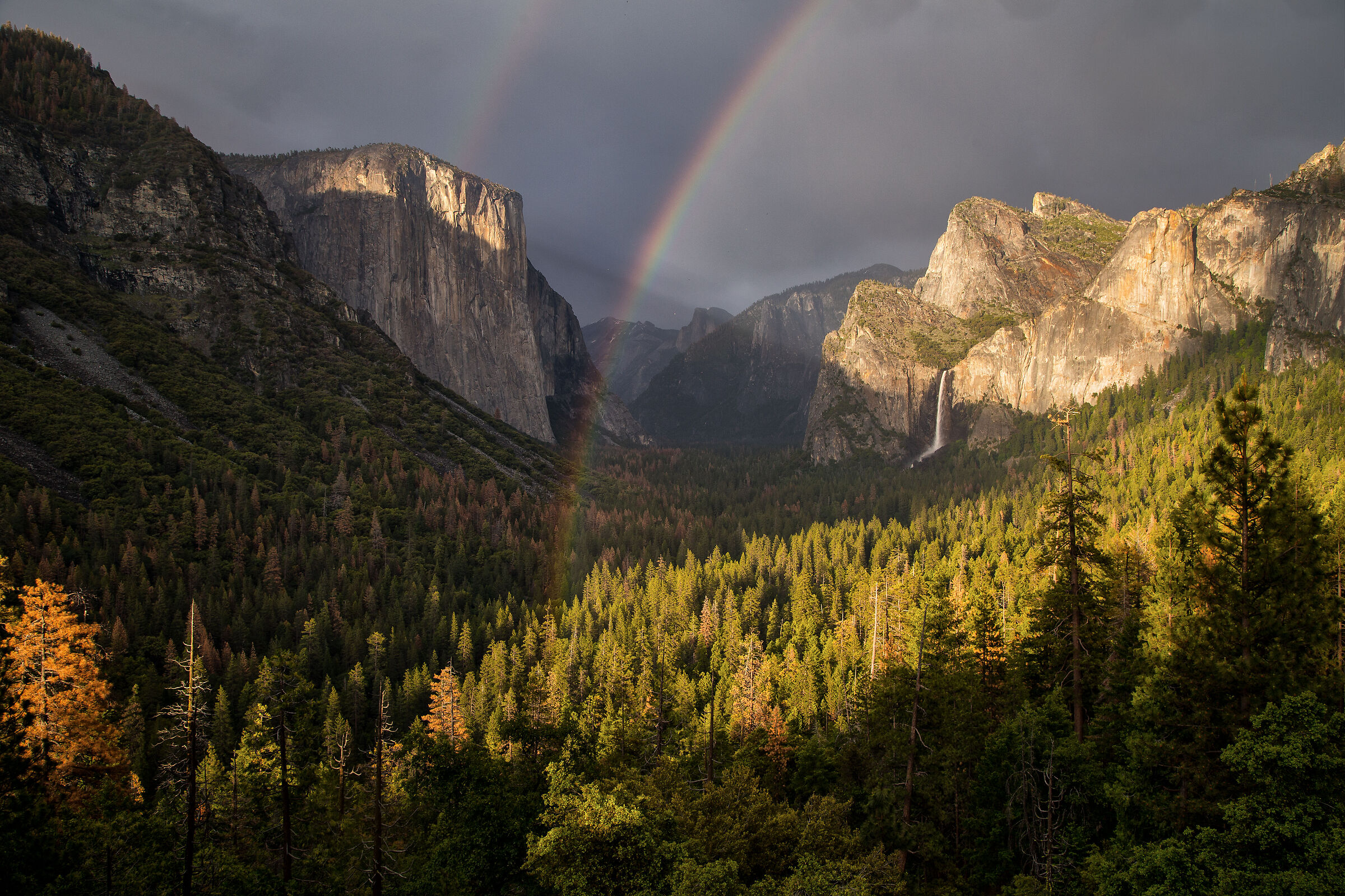 Yosemite Tunnel view