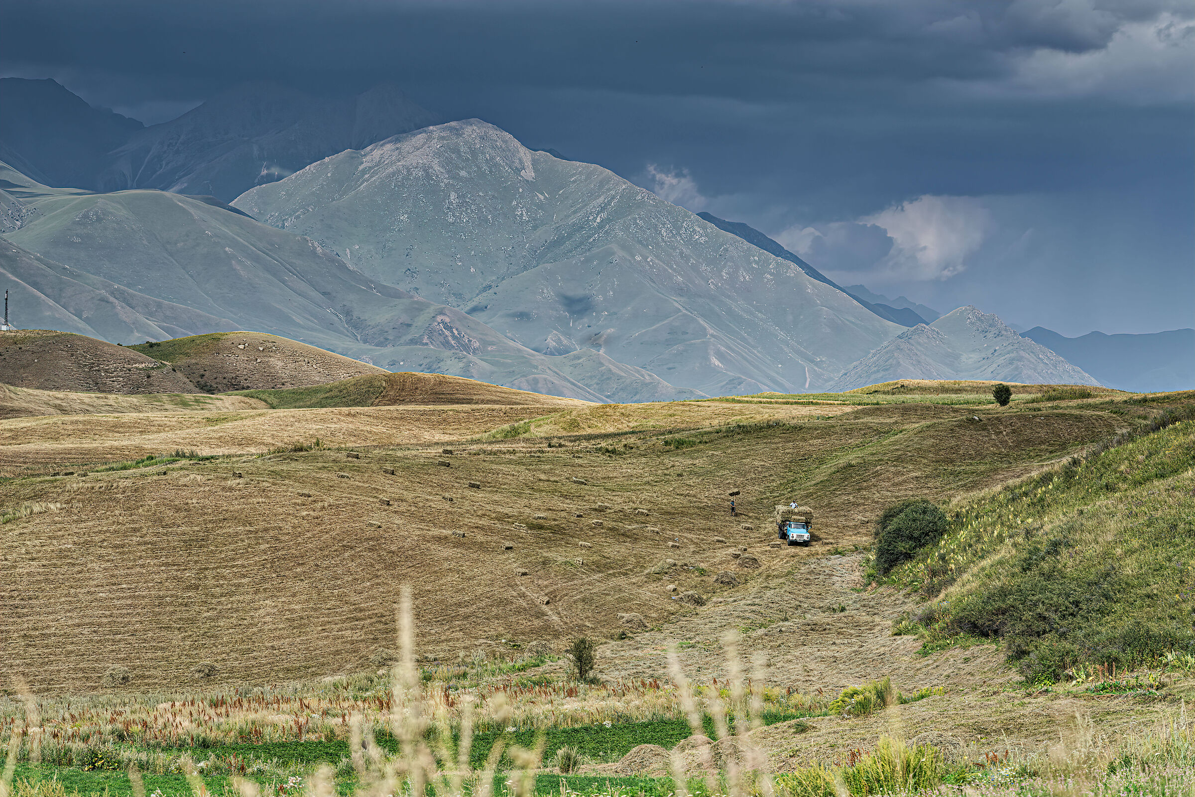Raccolta del fieno a Chon Kemin
