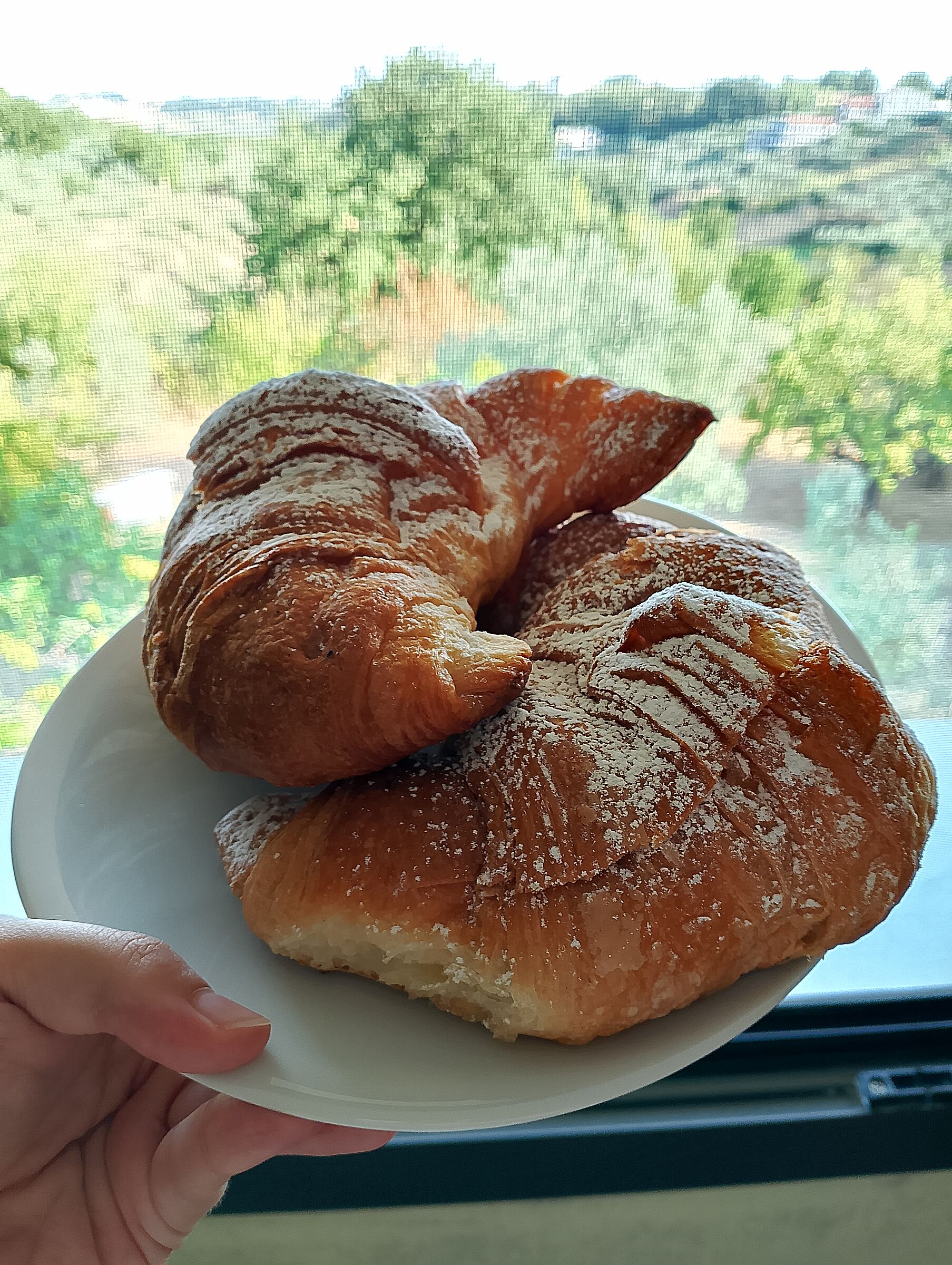 A croissant at the Garden of Dreams