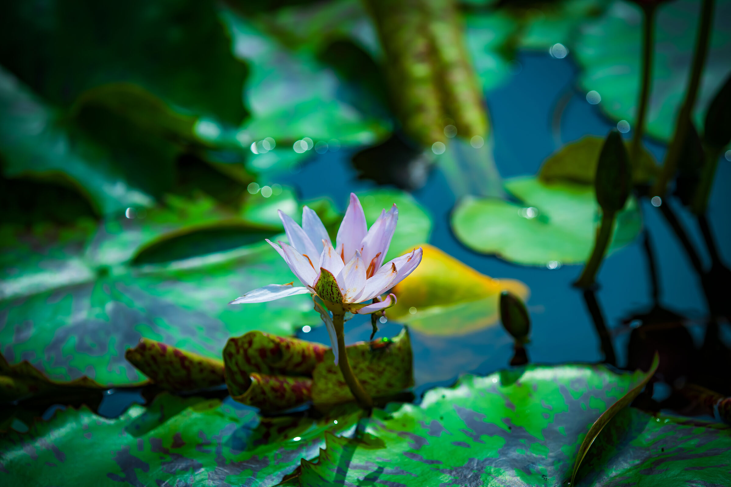 Untitled Photo