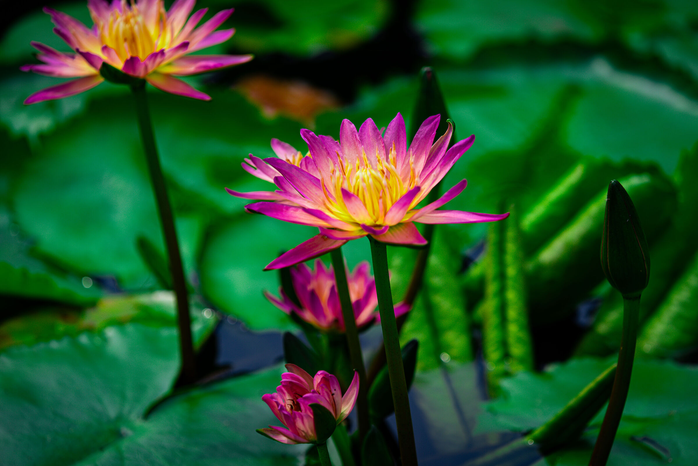 Untitled Photo