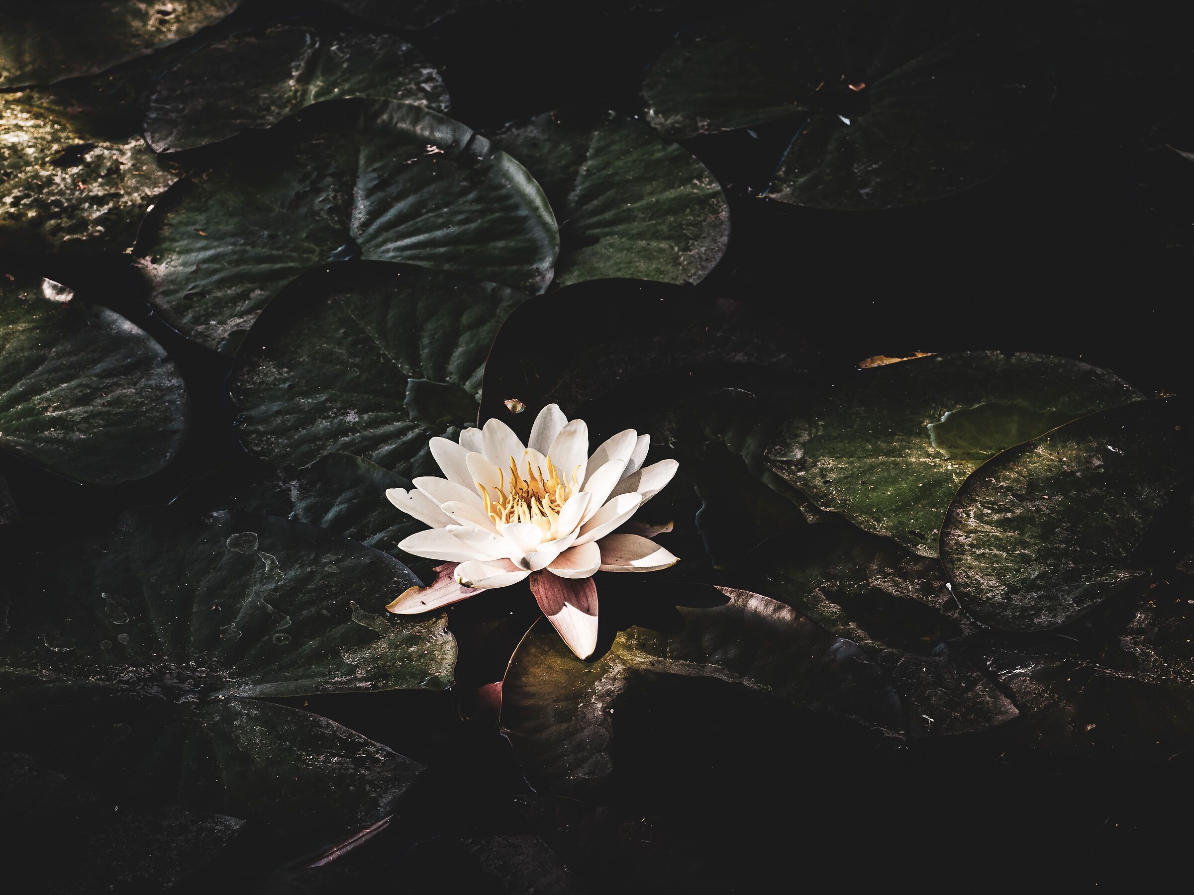 Untitled Photo