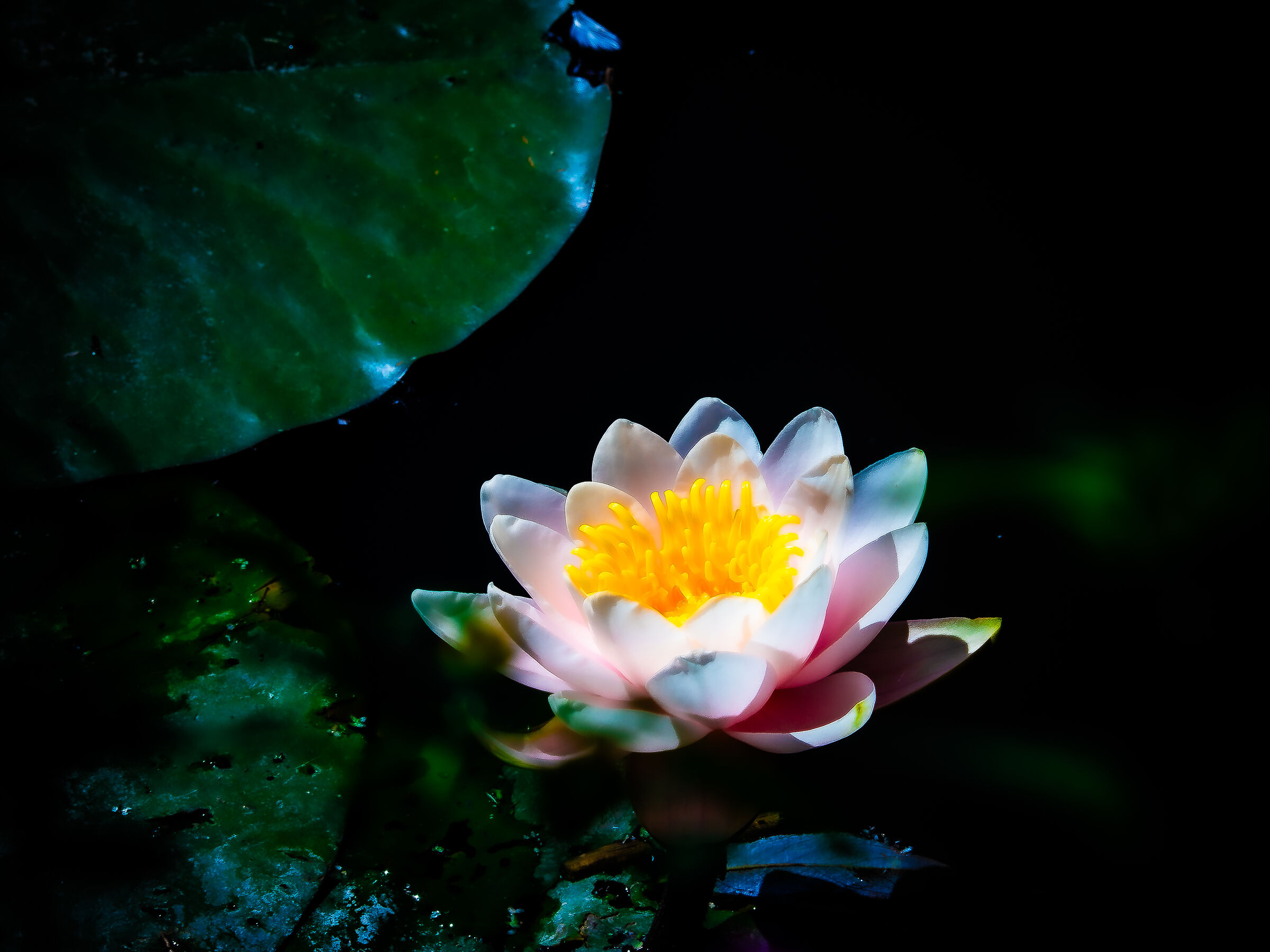 Untitled Photo