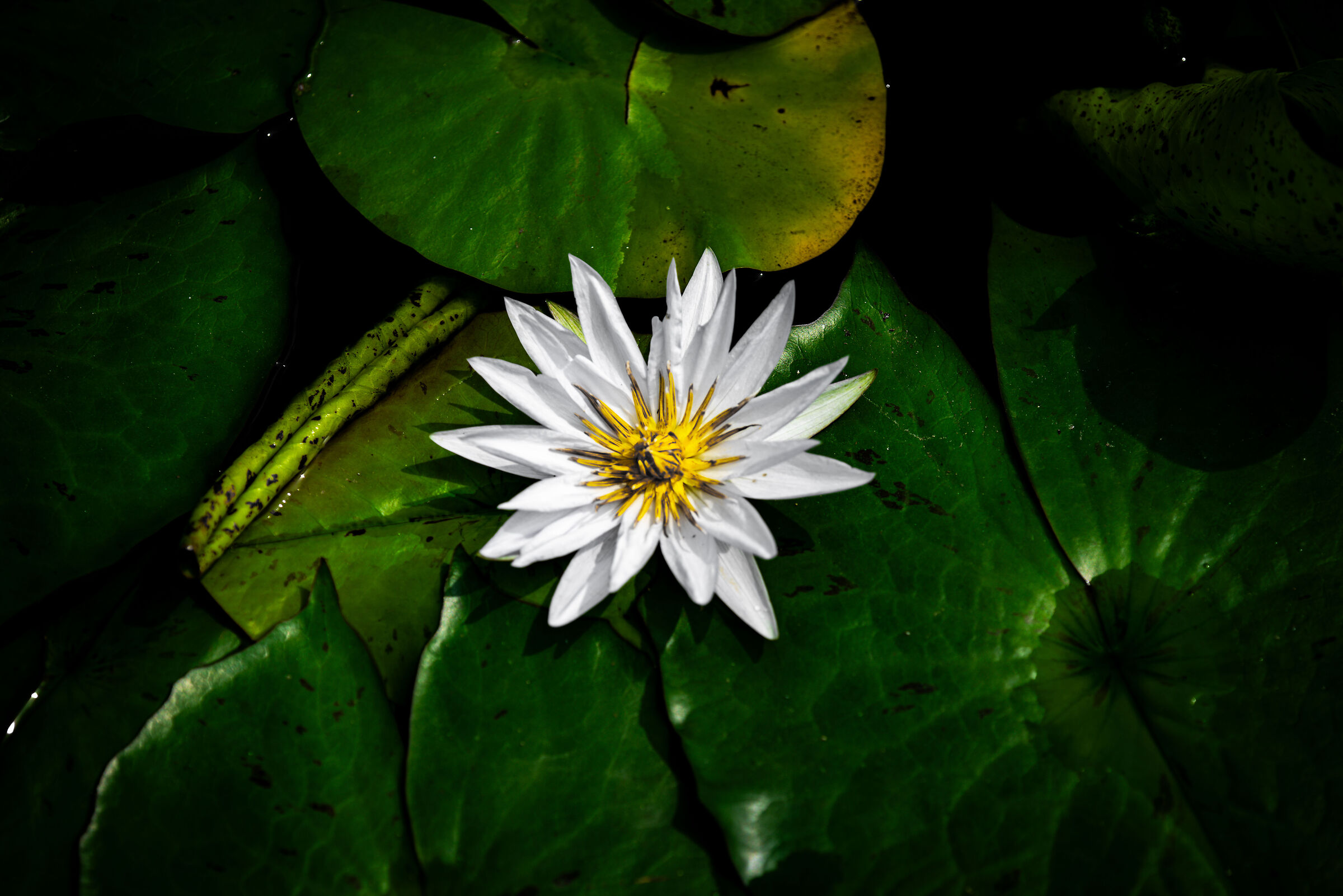 Untitled Photo