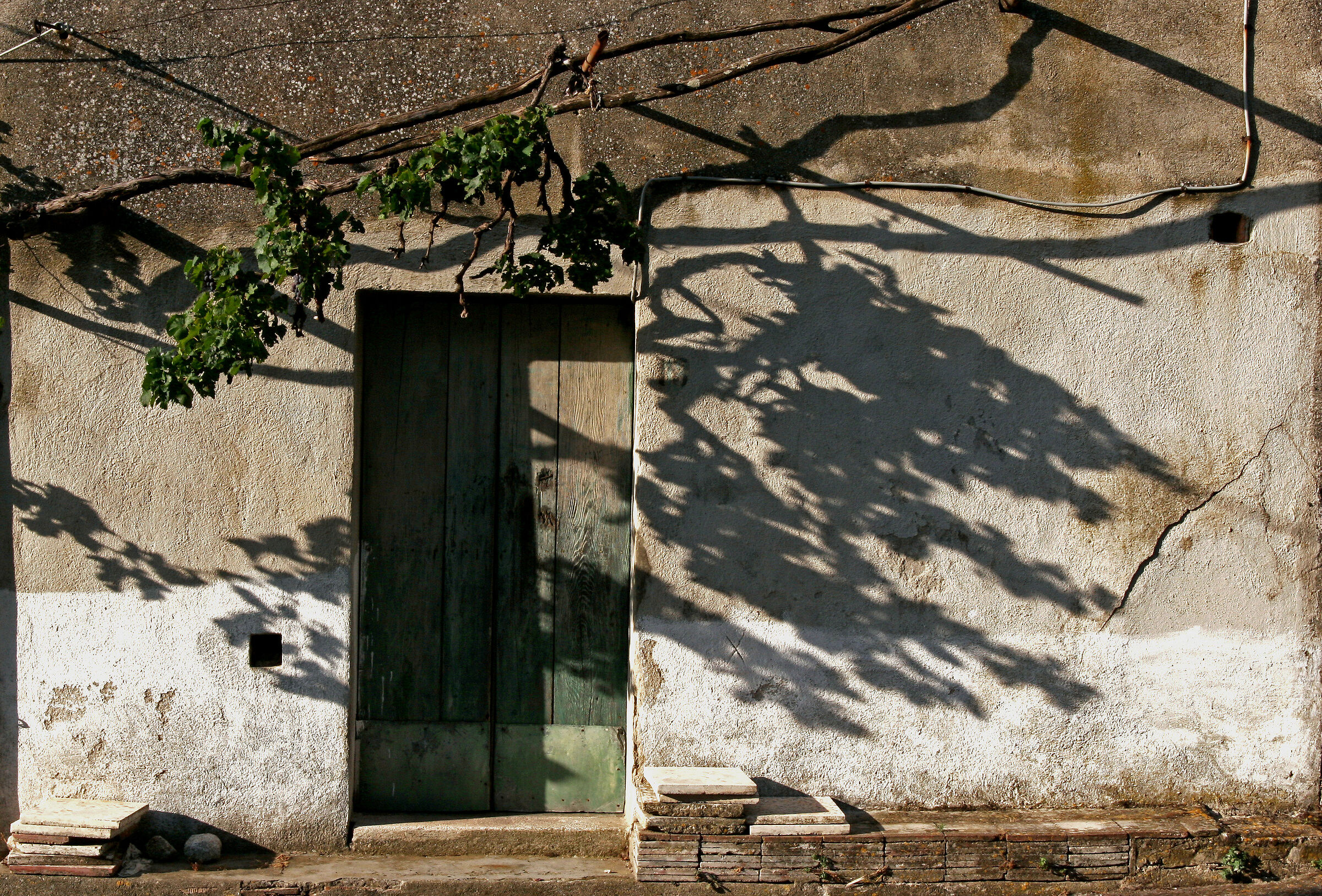 SUD