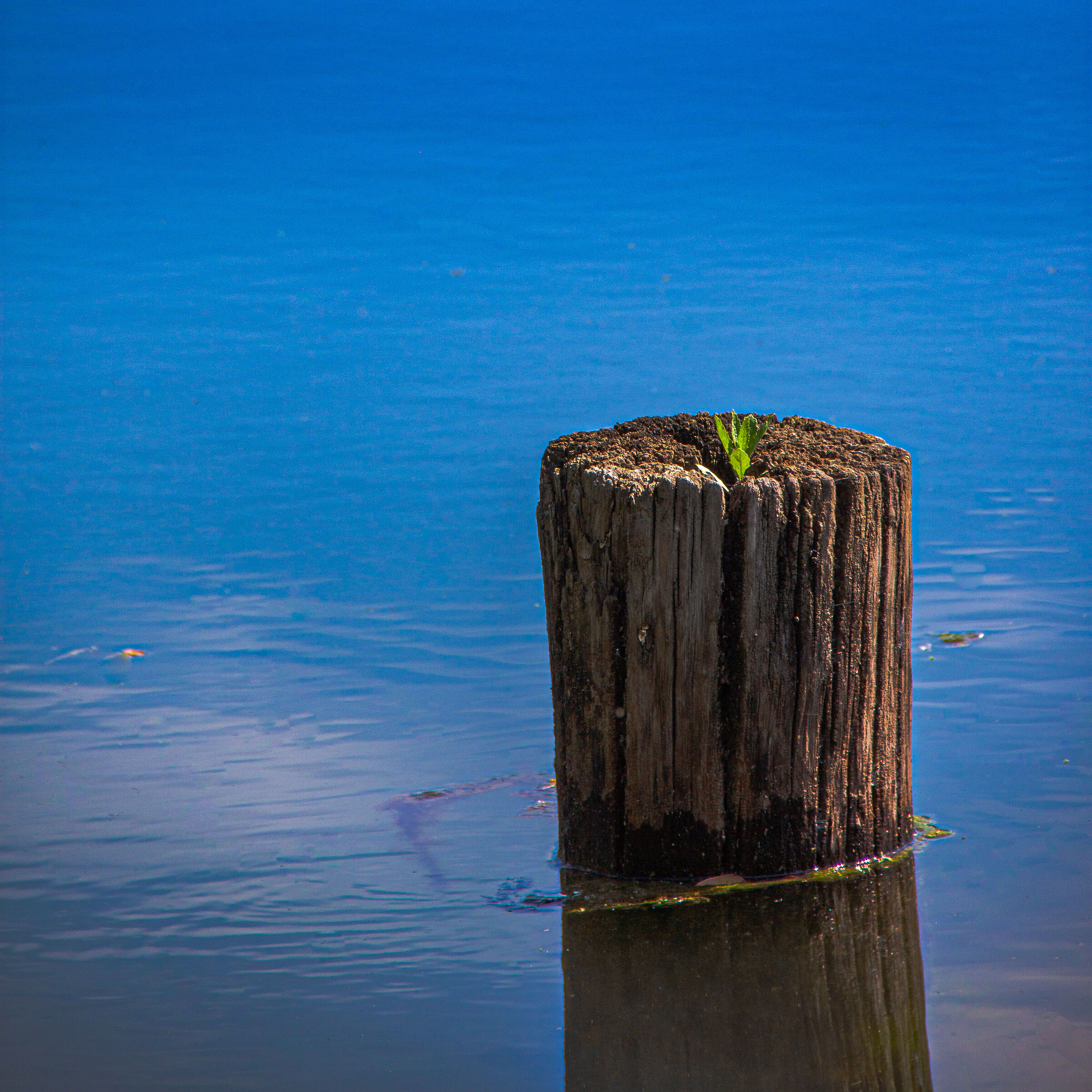 Life - Parco delle Cave