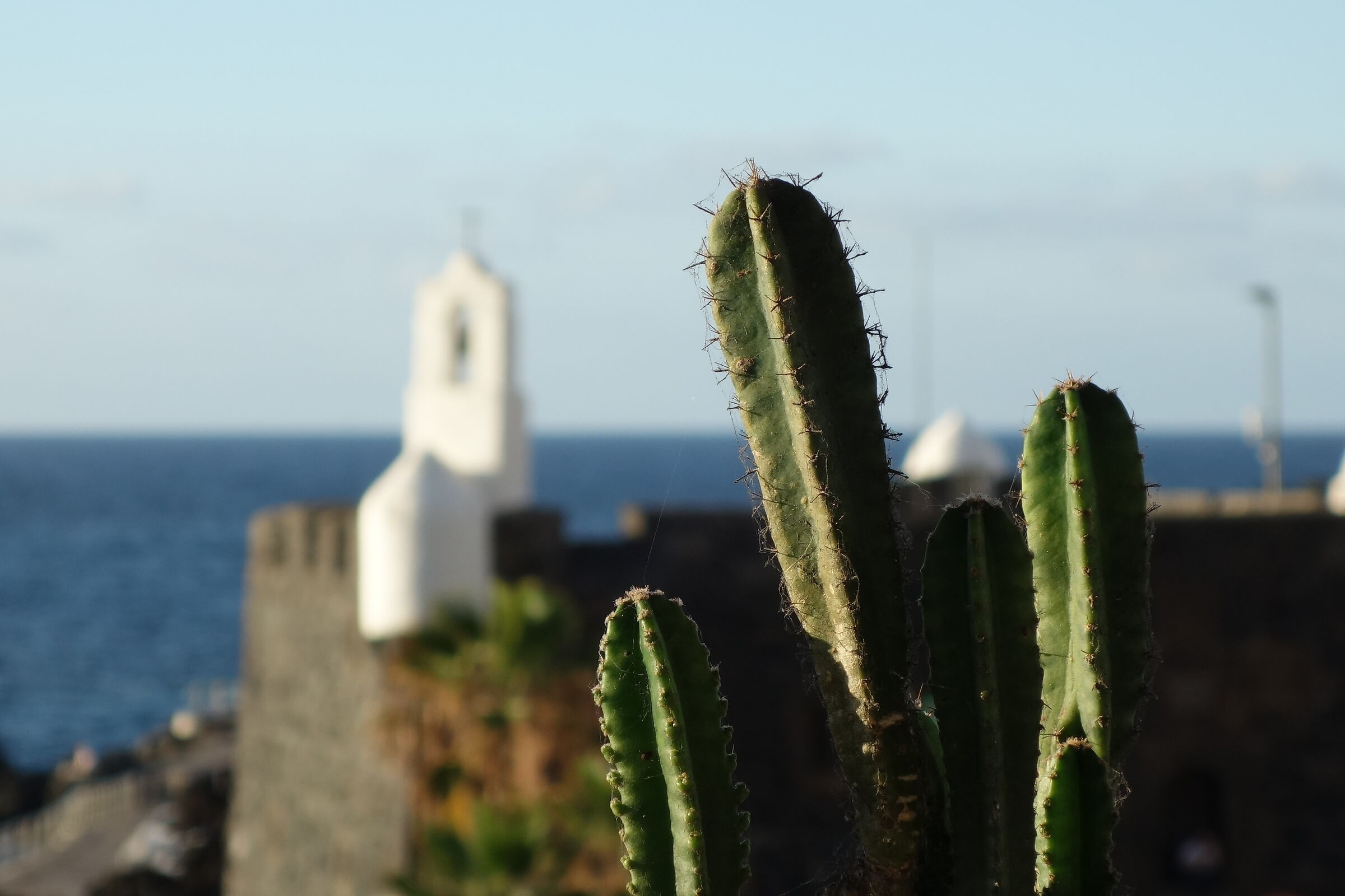 Tenerife. Garachico