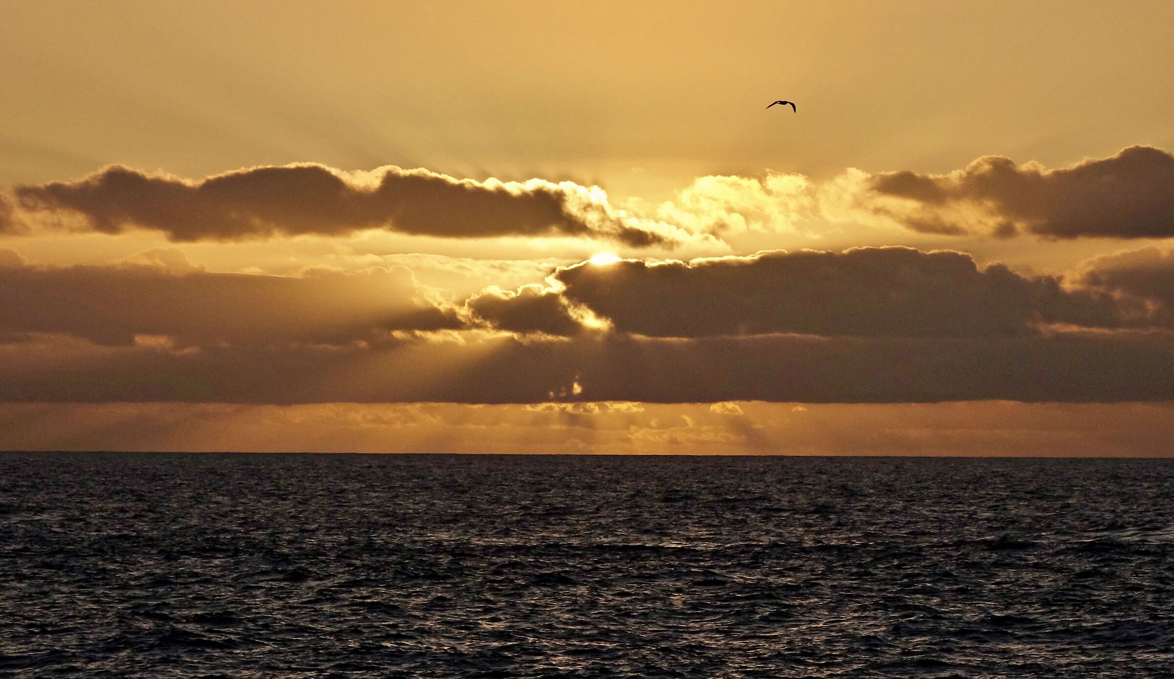Tenerife. Sunset in Garachico I.