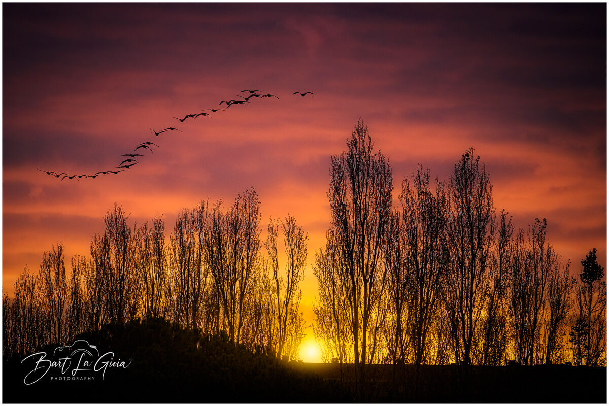 SUNSET FLIGHT