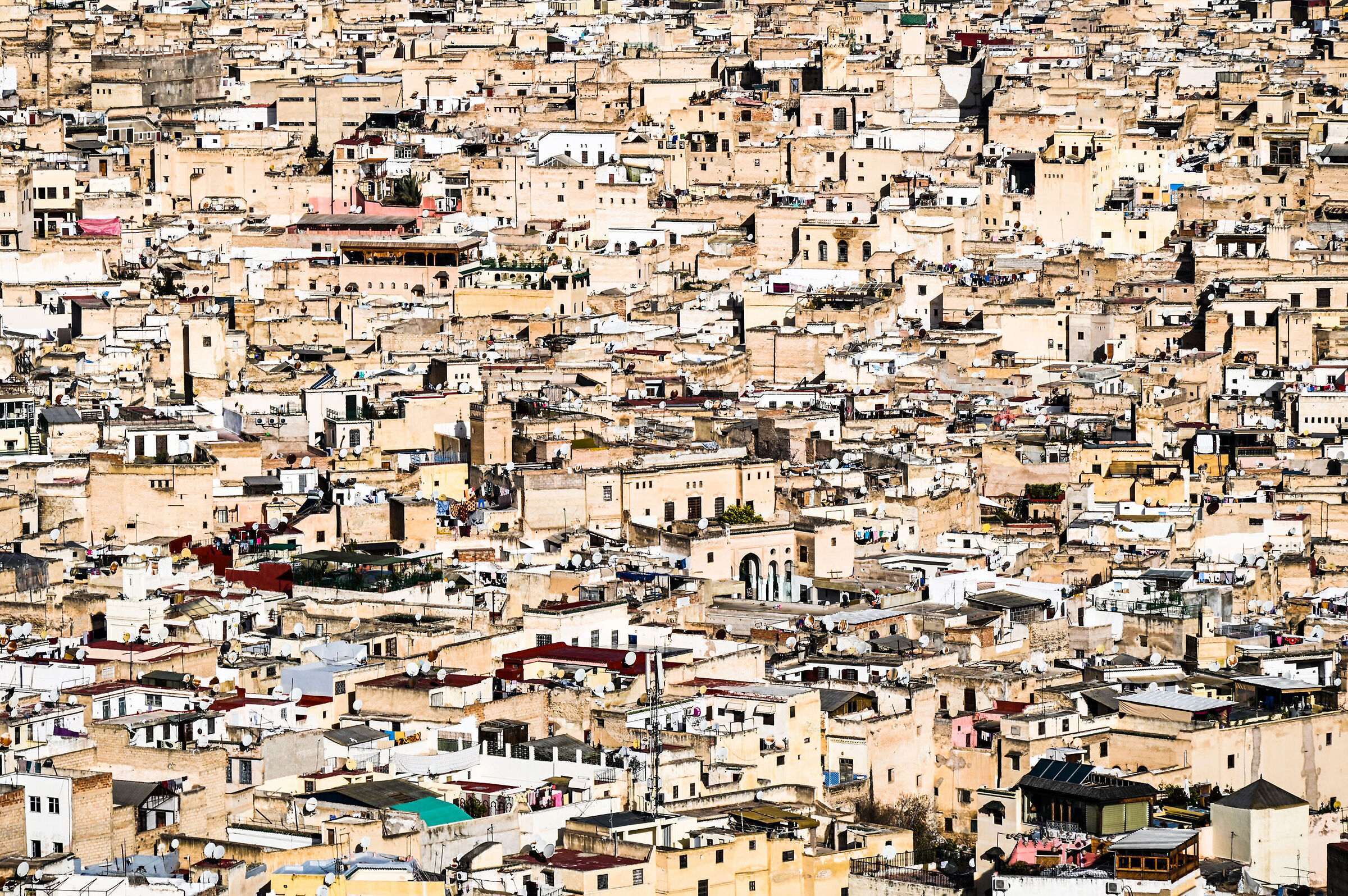 Fes (Marocco)