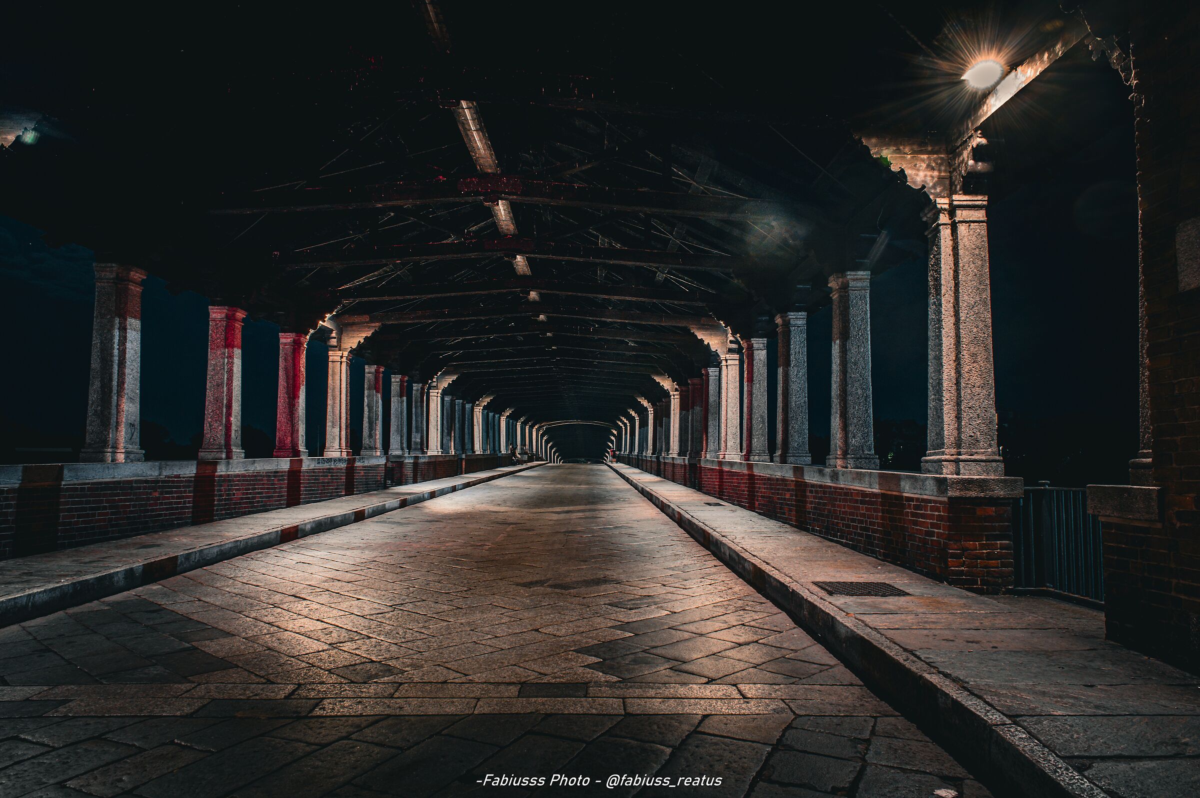 Ponte coperto - Pavia
