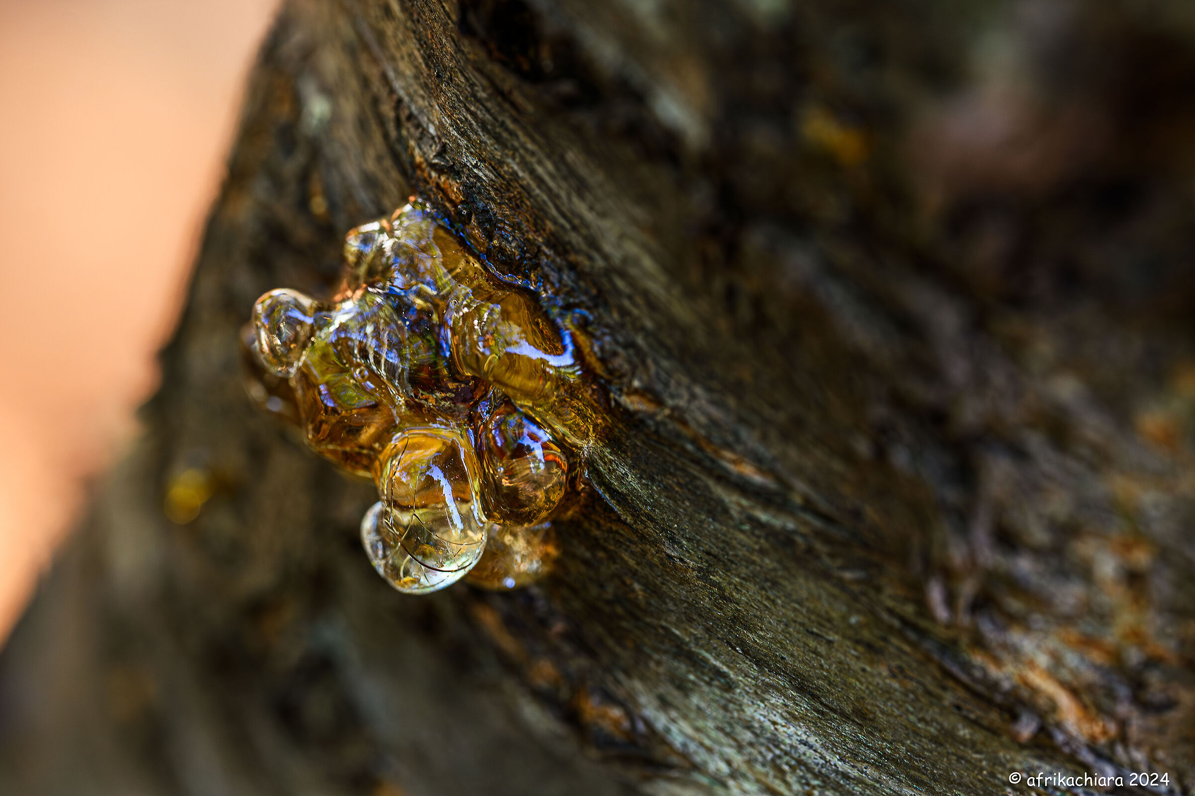 The "world" enclosed in resin