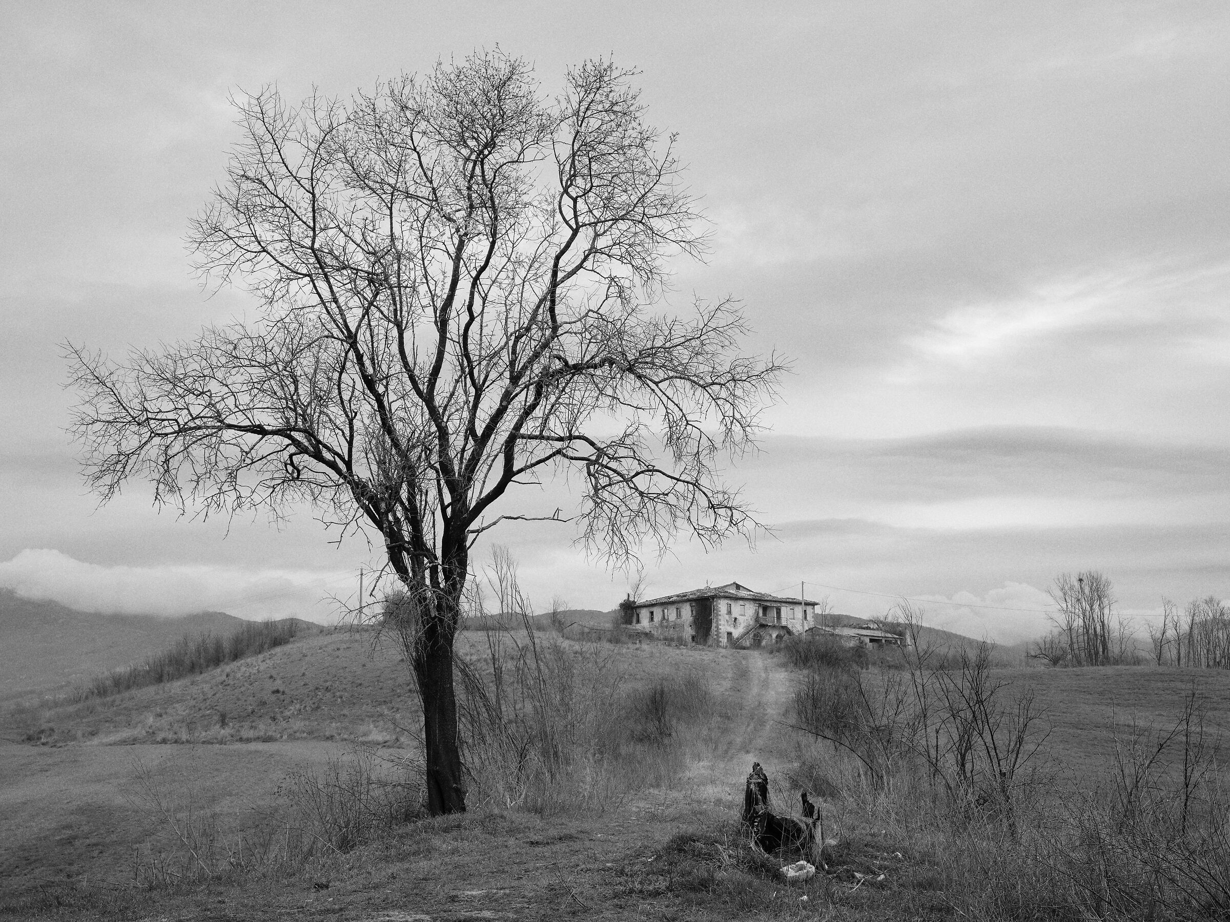 Rural landscape