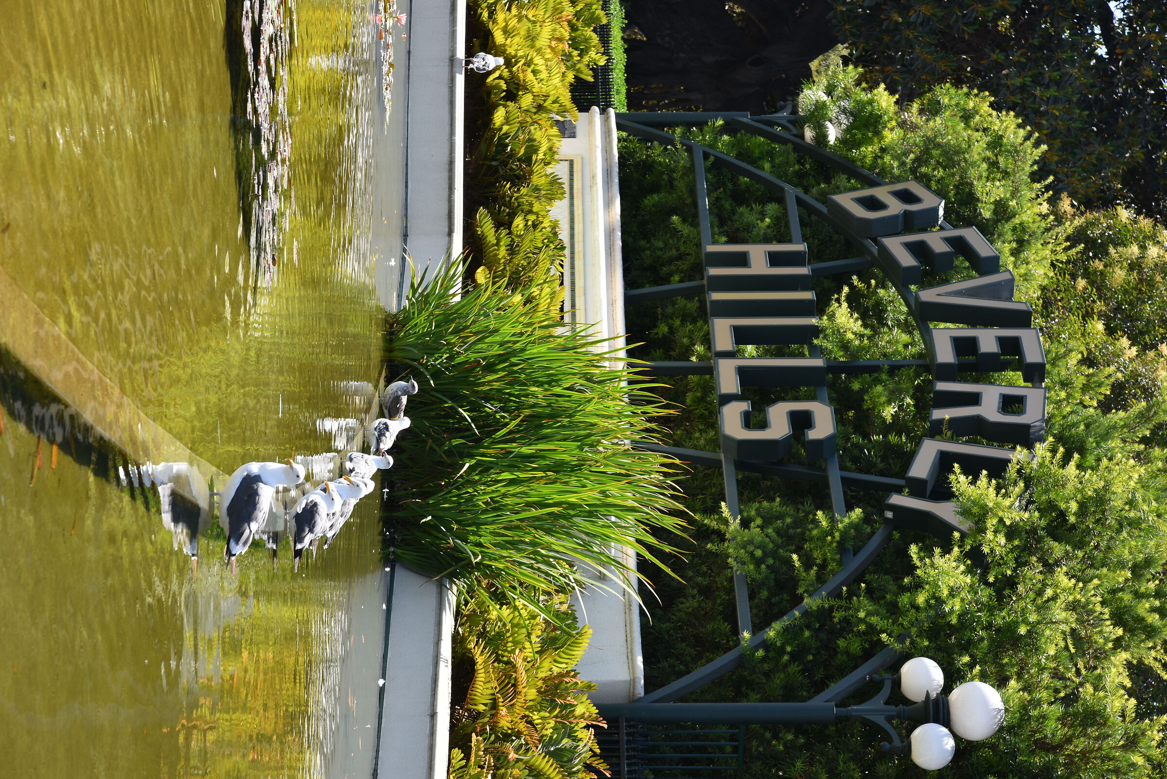 Los Angeles Beverly Hills