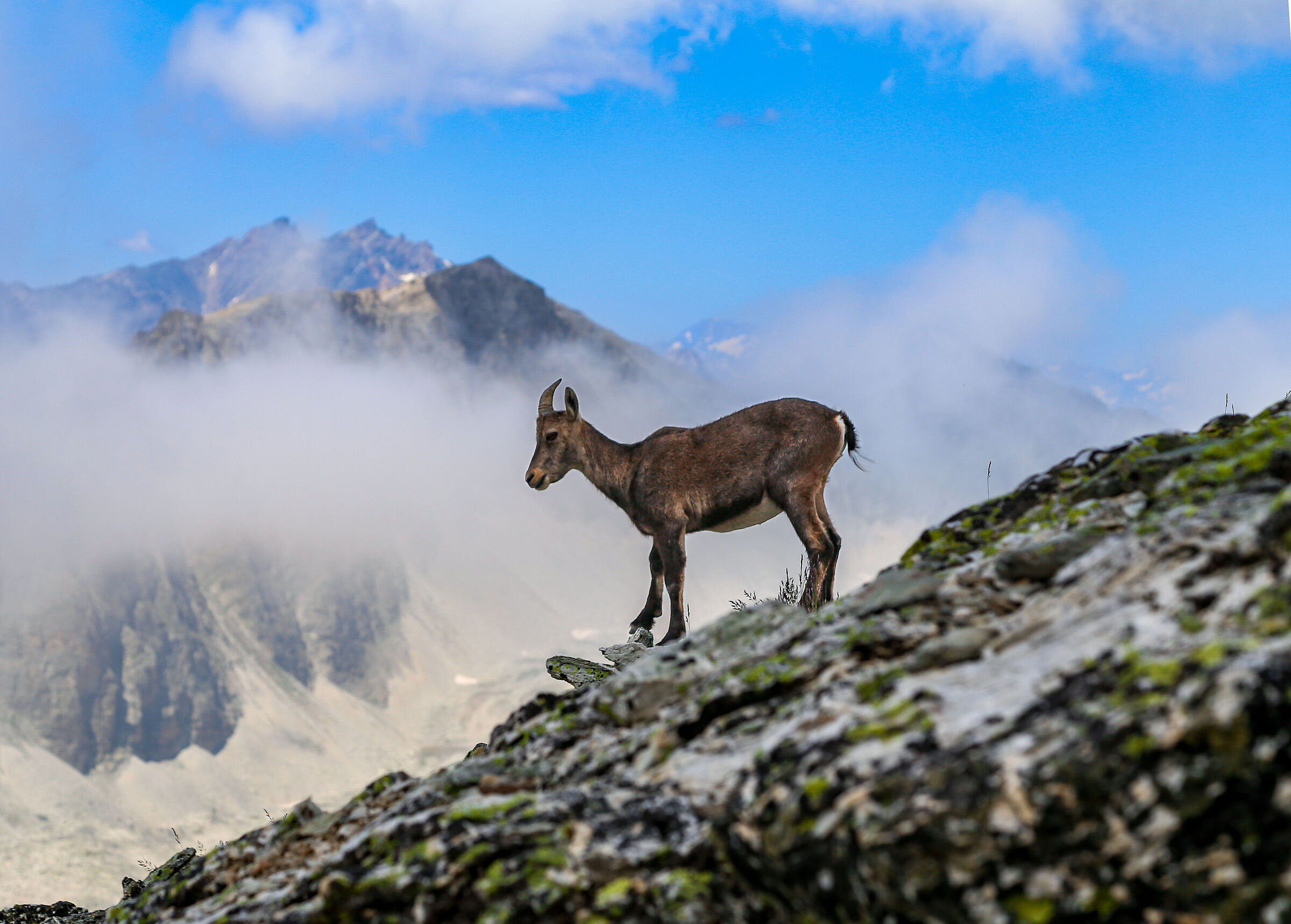 Life in the mountains