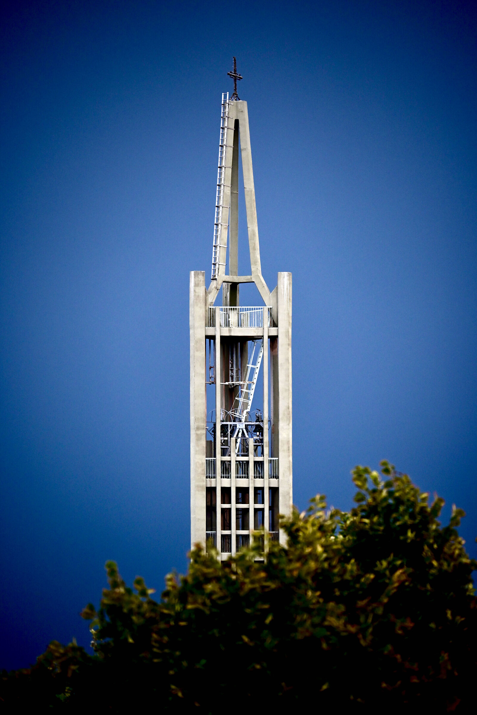 Zeder (the K Grounds)