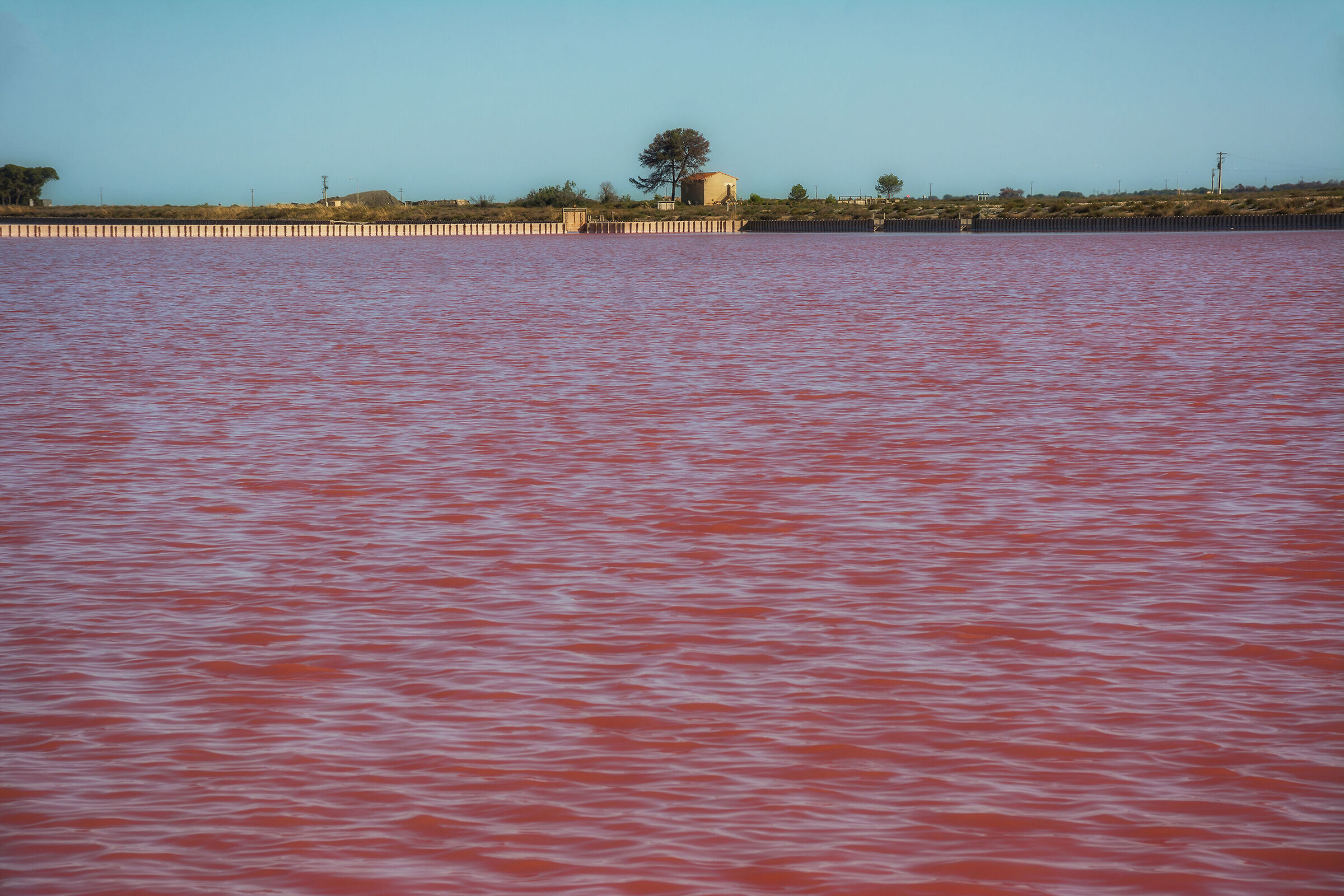 Il rosso della salina