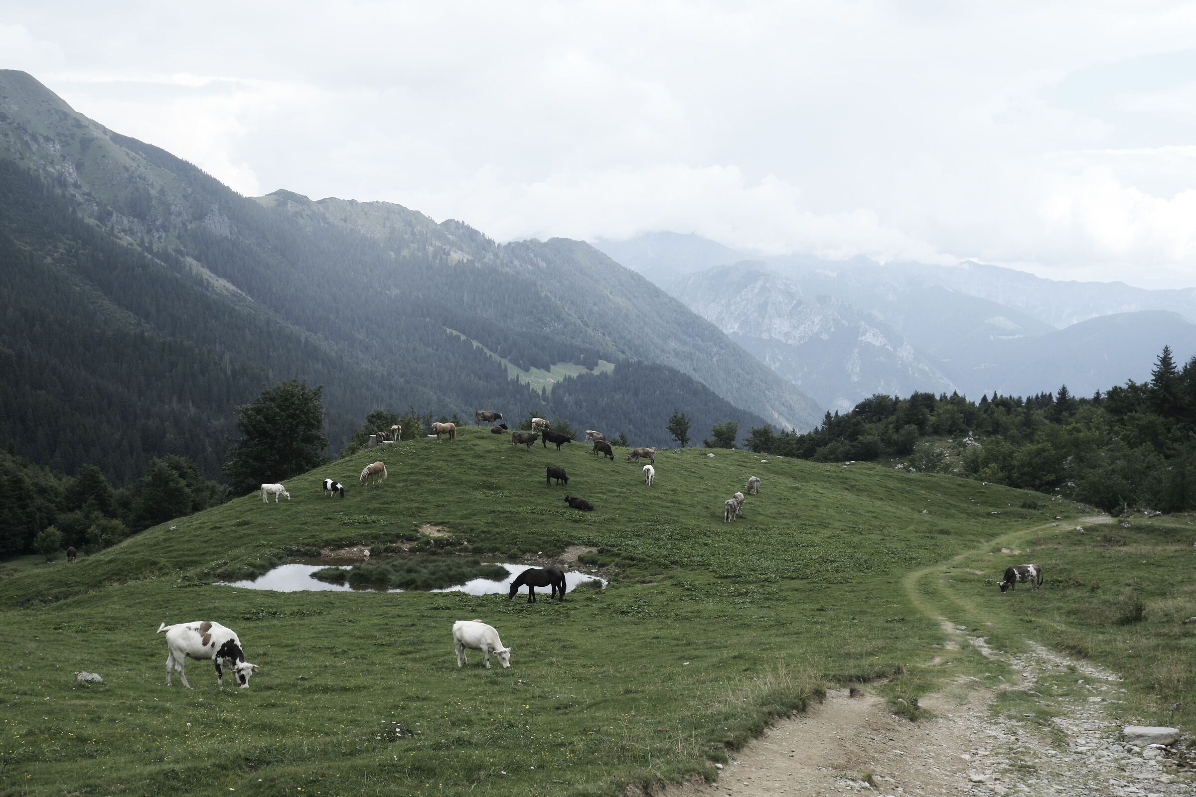 Alpeggio in Alta Val Seriana