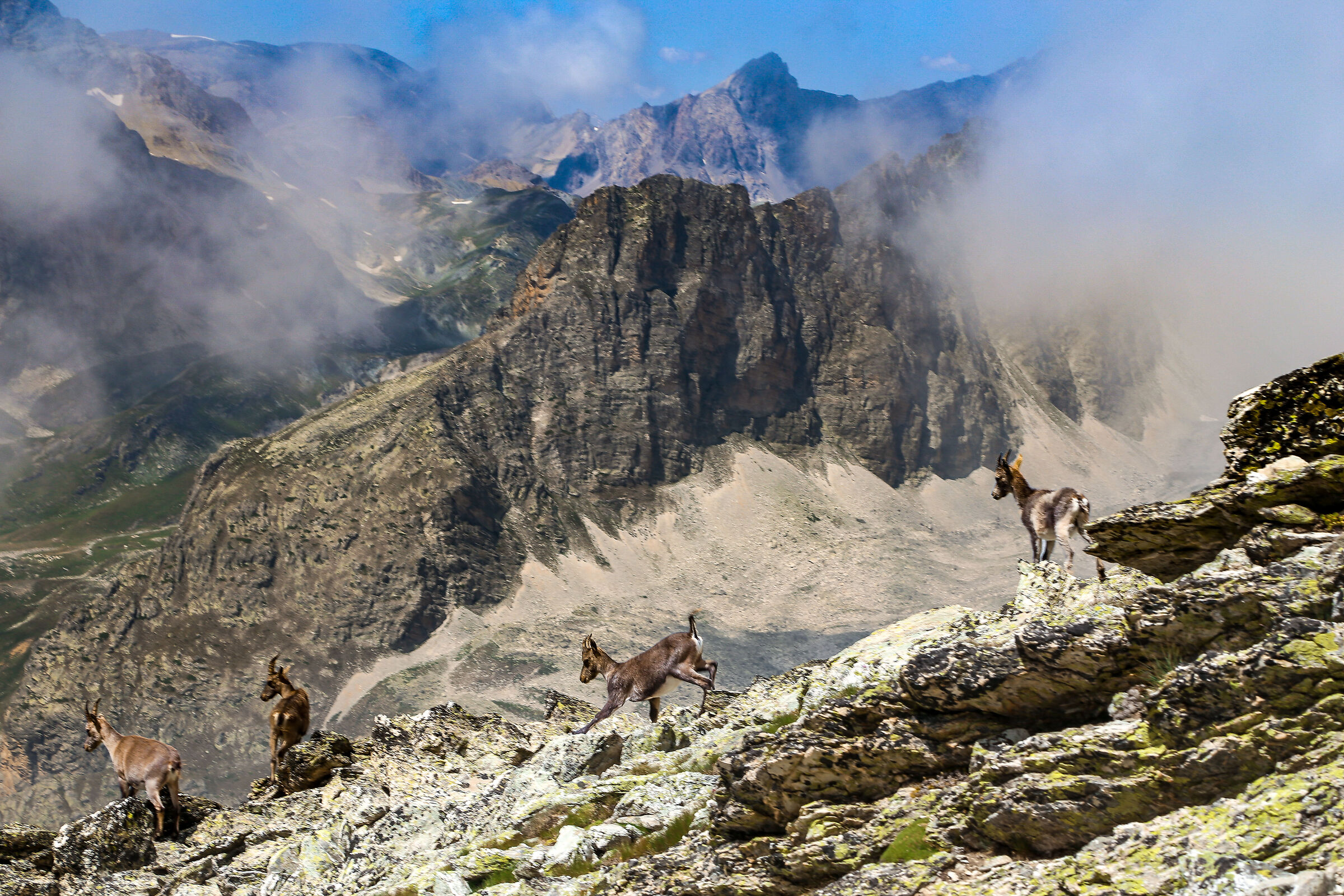 life in the Mountains