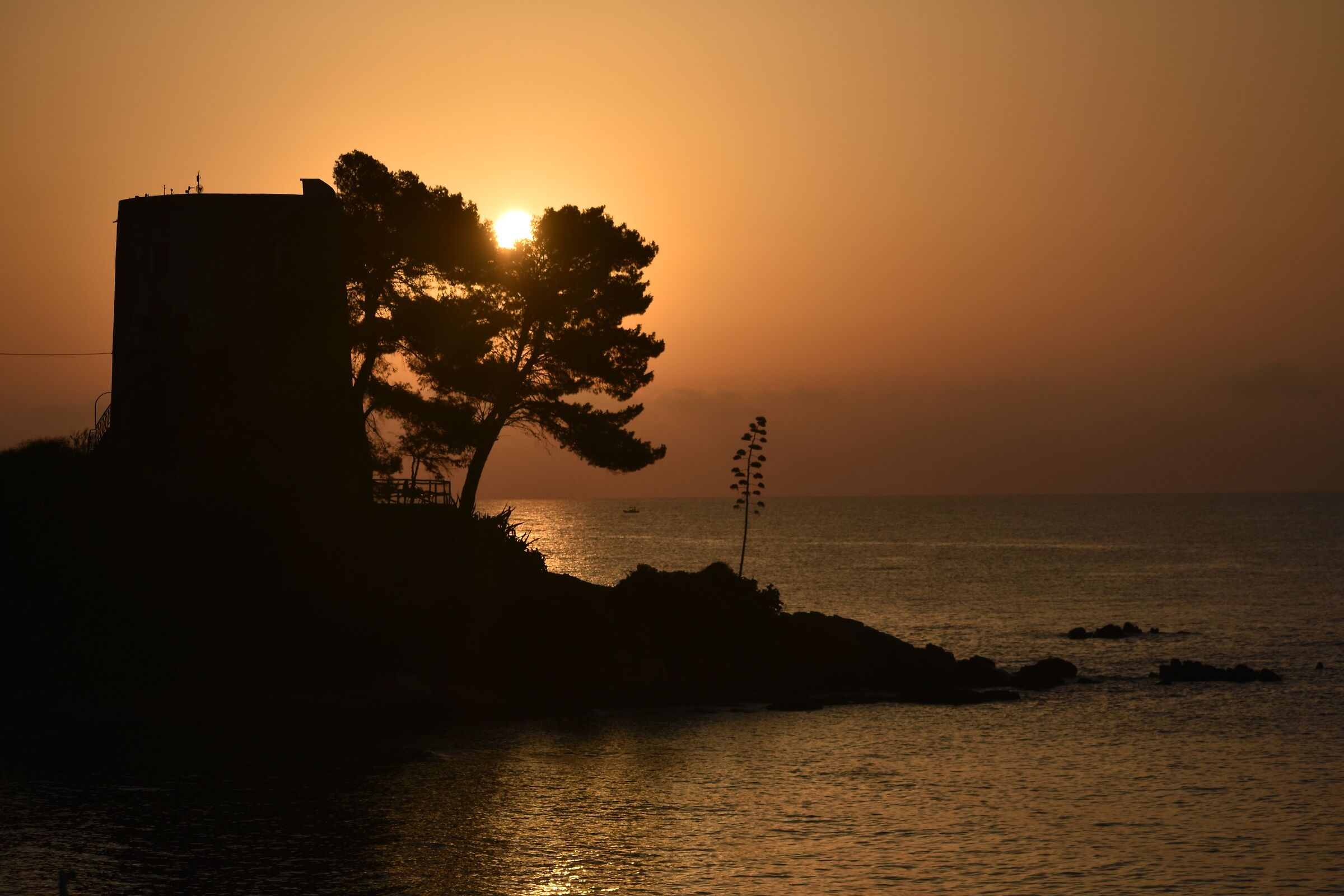 The dawn of August 14th