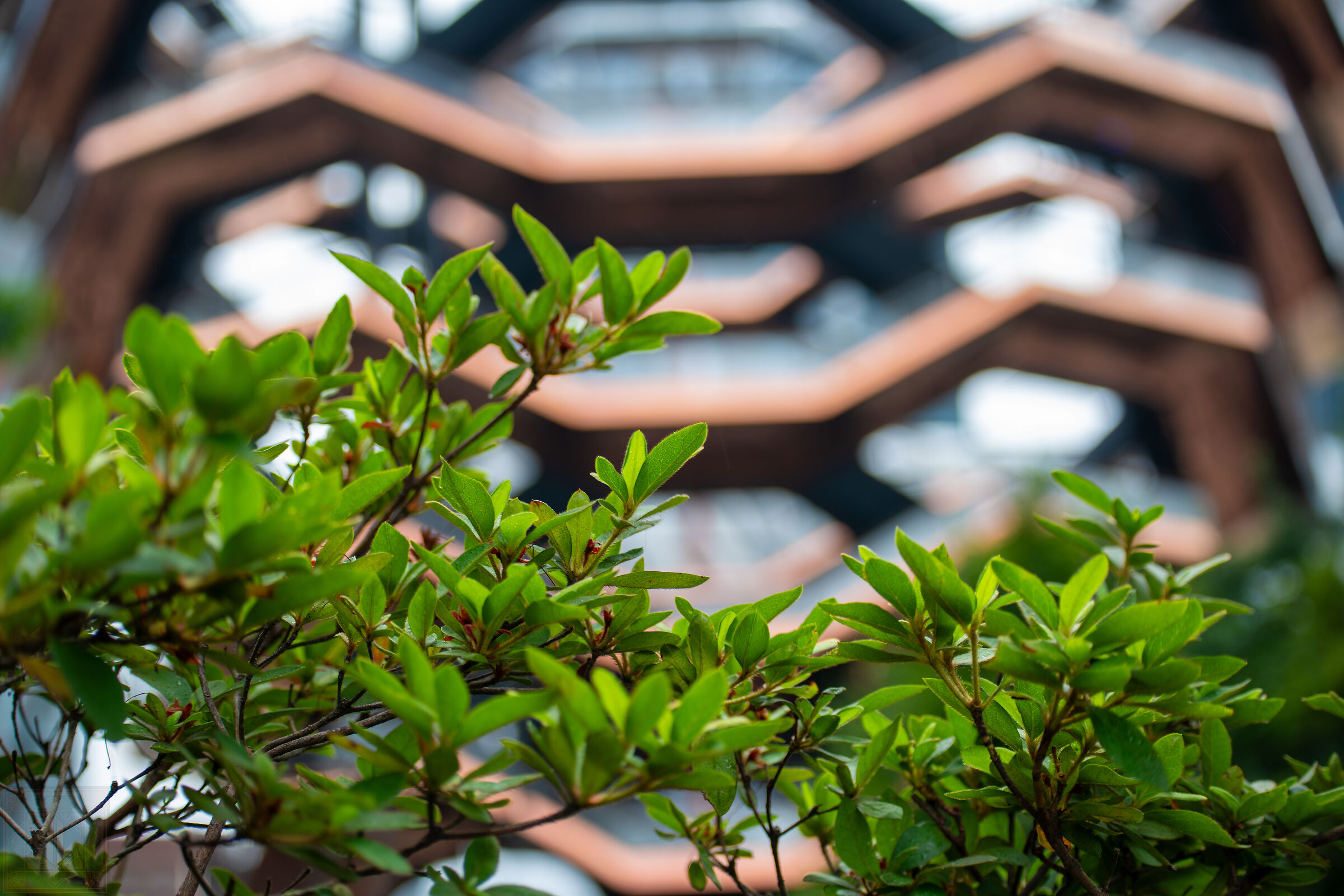 Hudson Yards Details 1