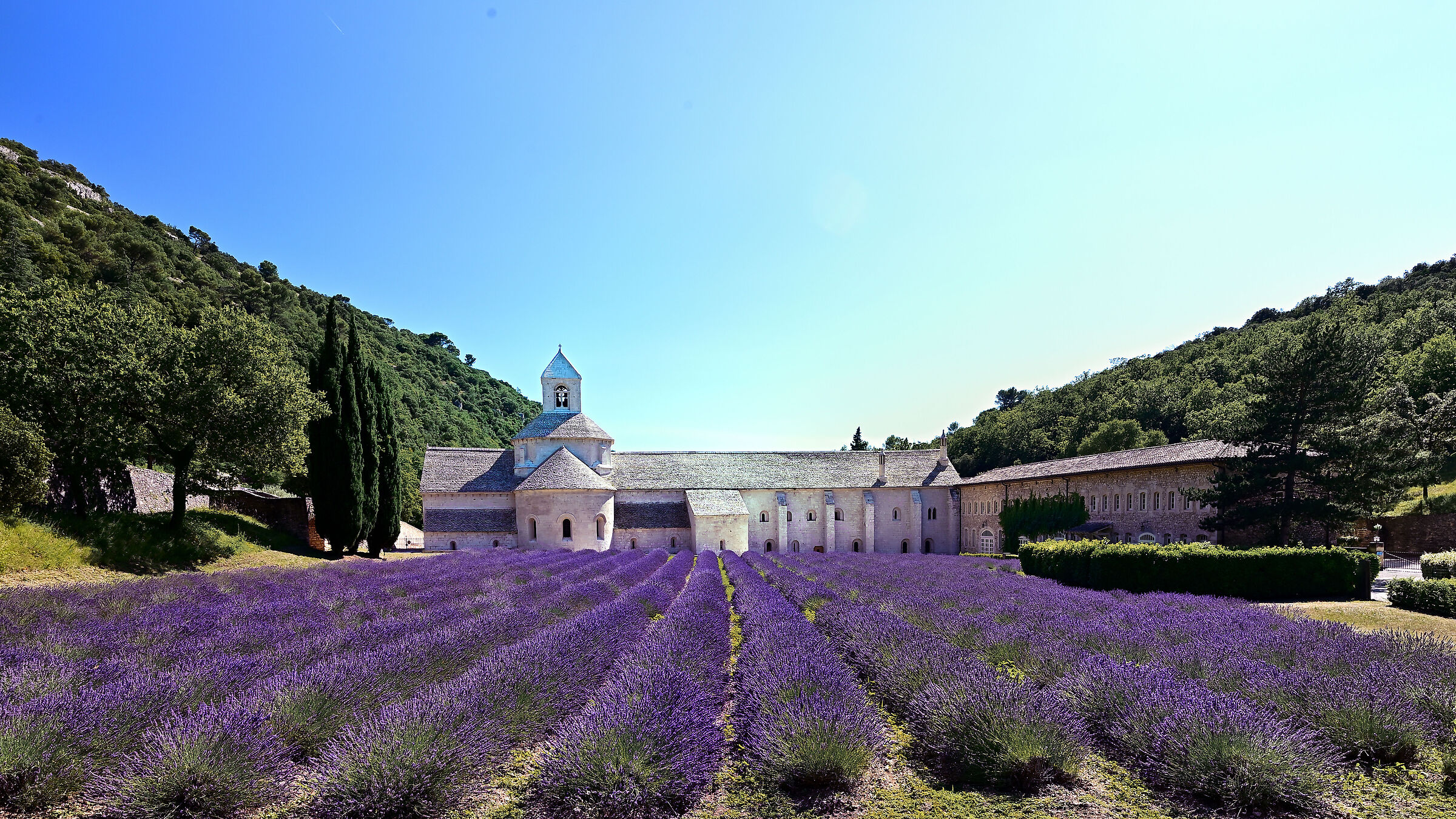 Abbaye Notre-Dame de Sénanque