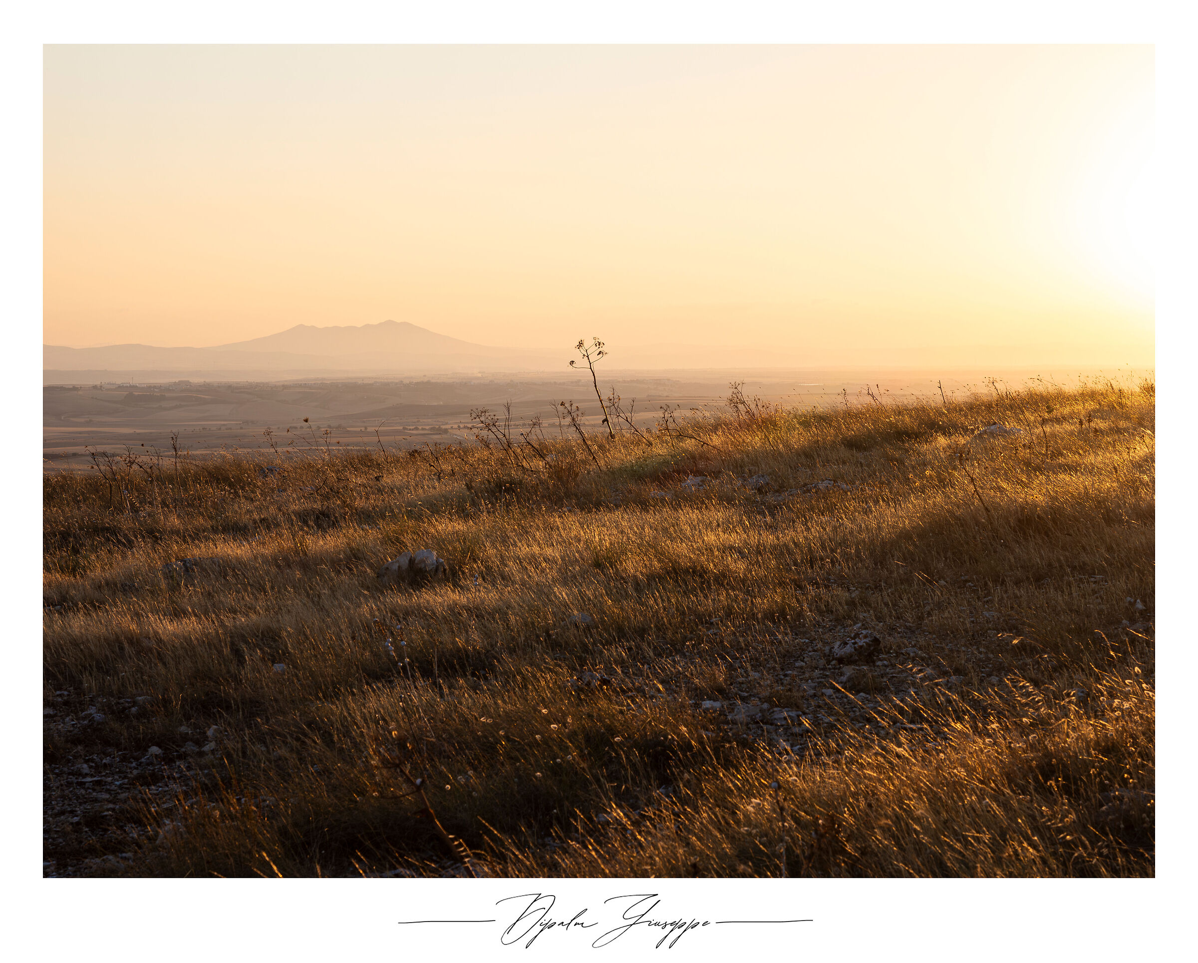 Landscape Alta Murgia National Park 2