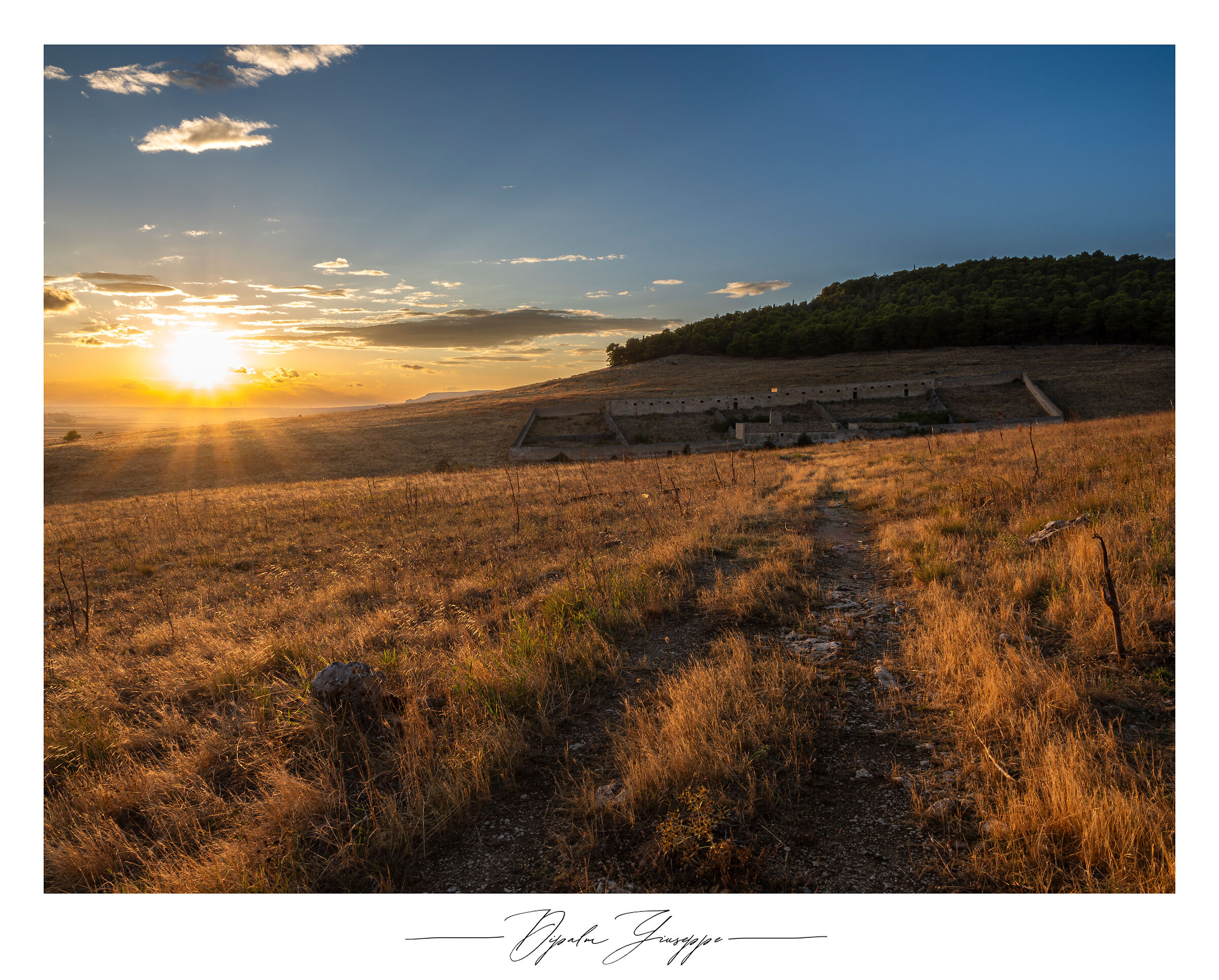 Landscape Alta Murgia National Park 3