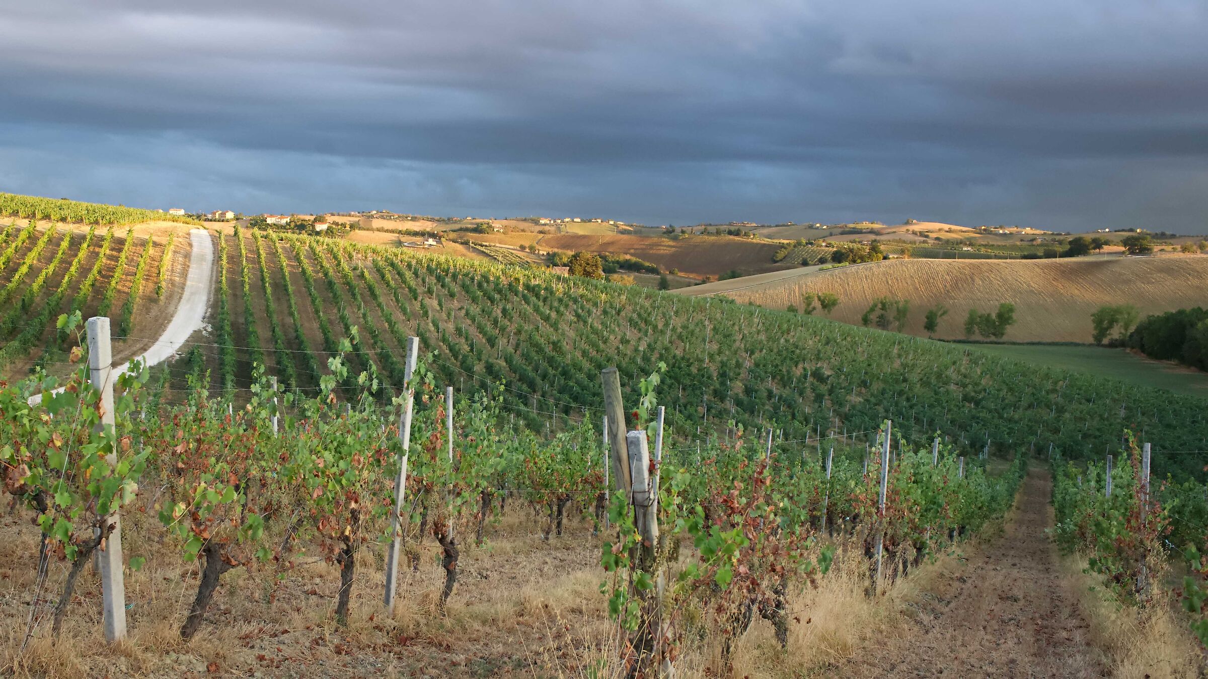 luci e ombre al tramonto