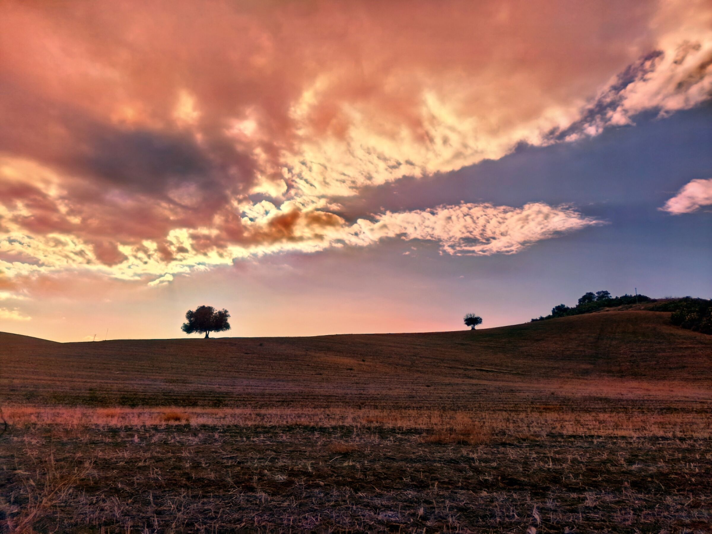 A good day can be seen in the rain