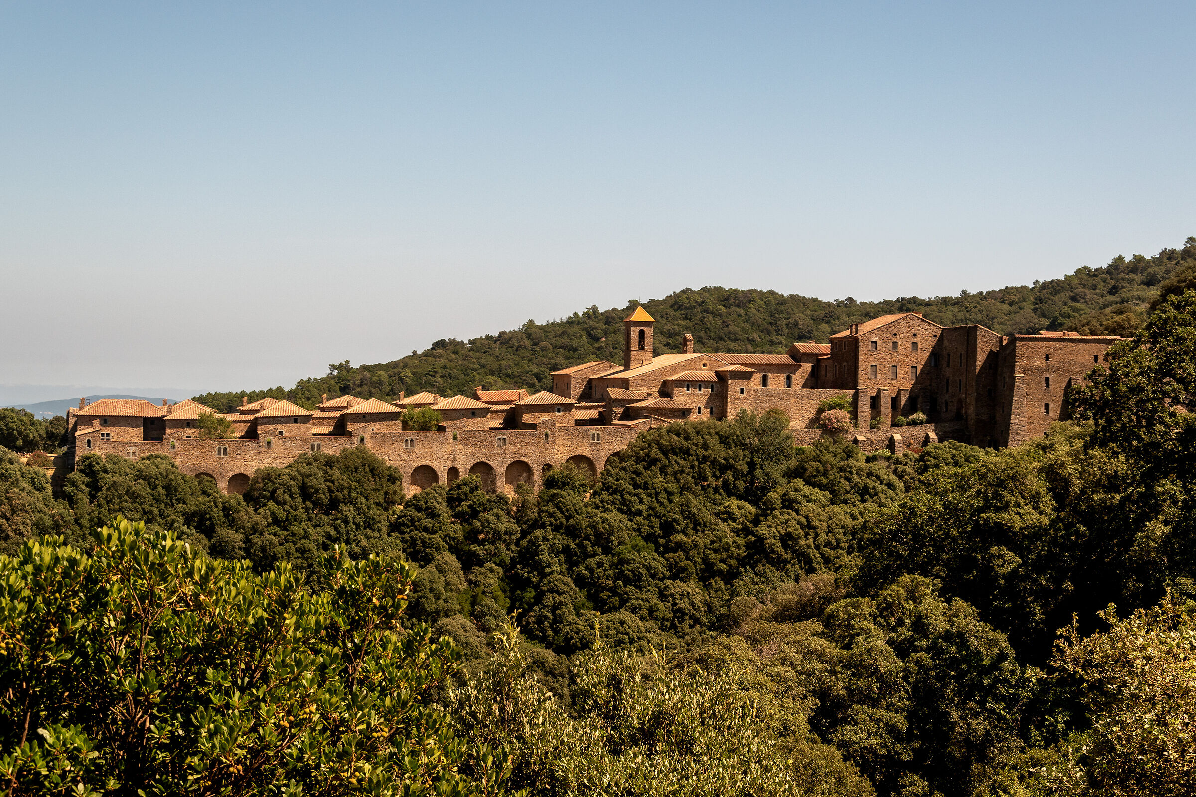 Chartreuse de la Verne