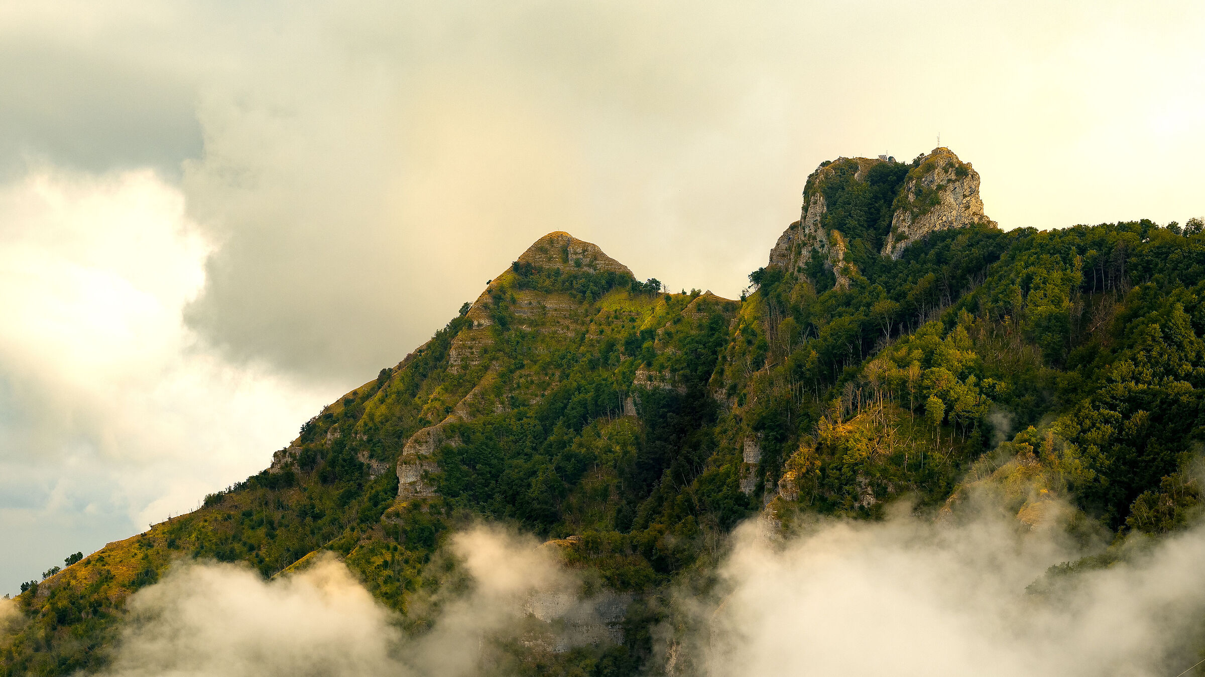 Il Canino e il Molare