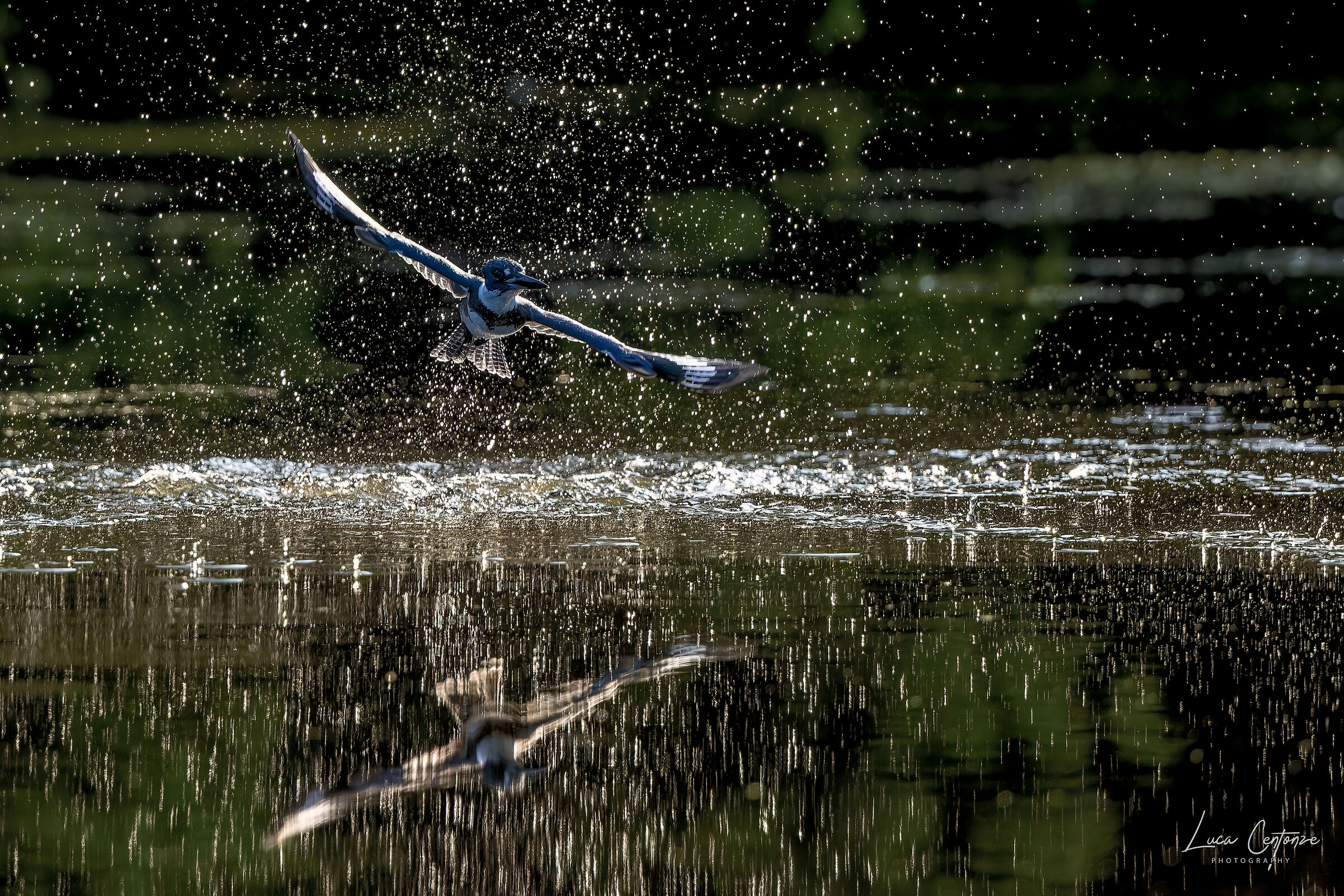 After the Splash ....