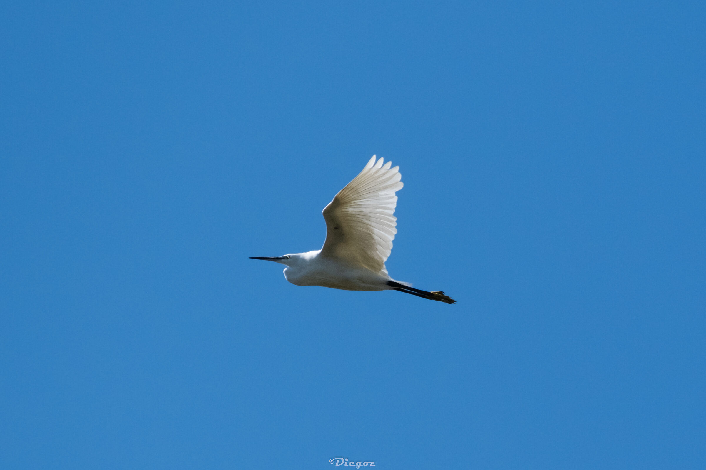 Untitled Photo