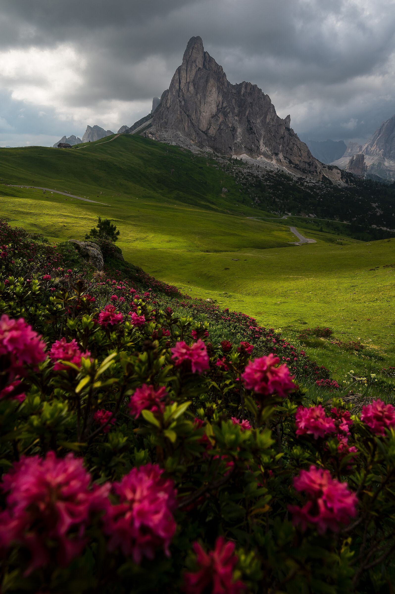 Shadows, Lights and Colors