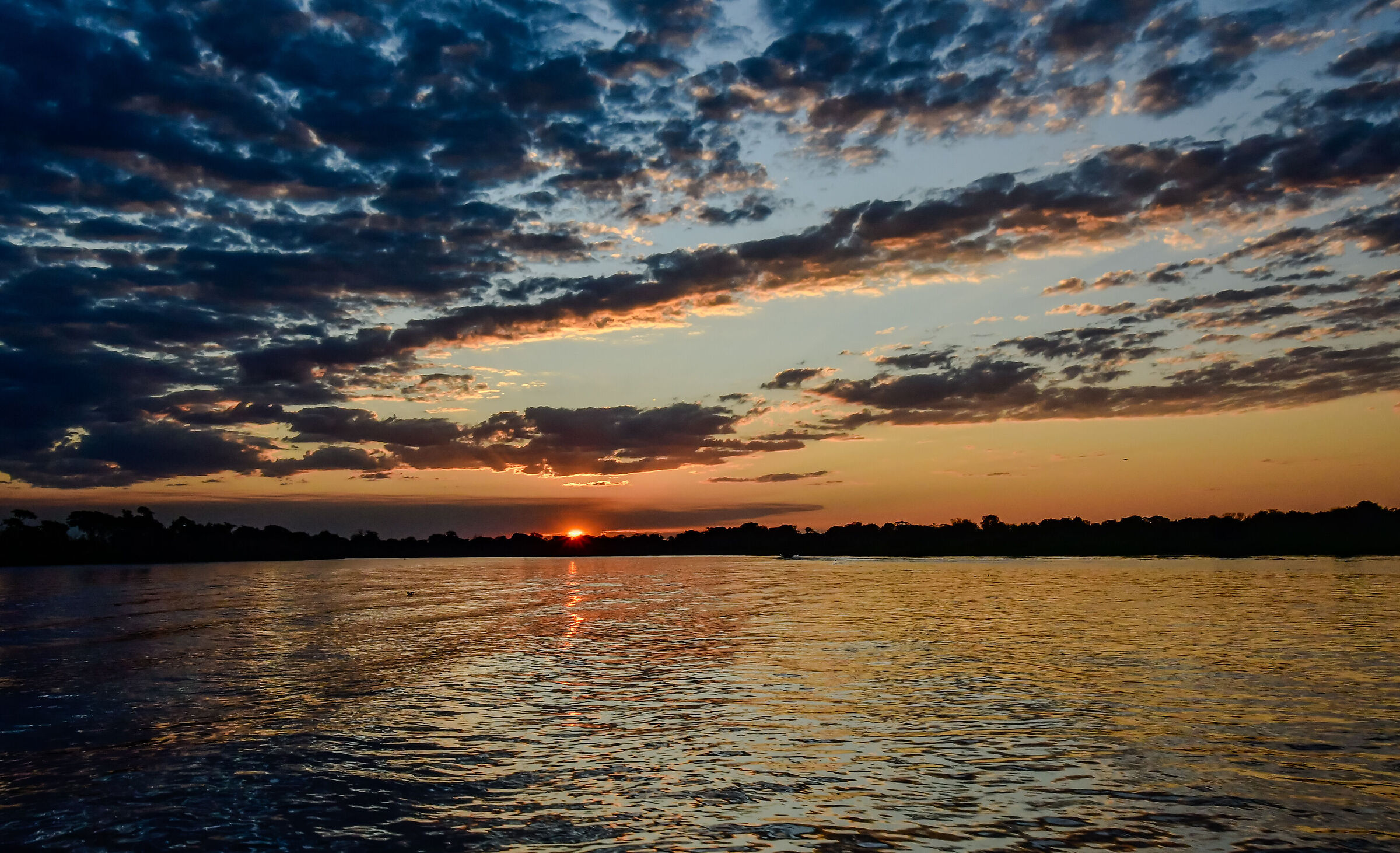 Returning to Porto Jofre