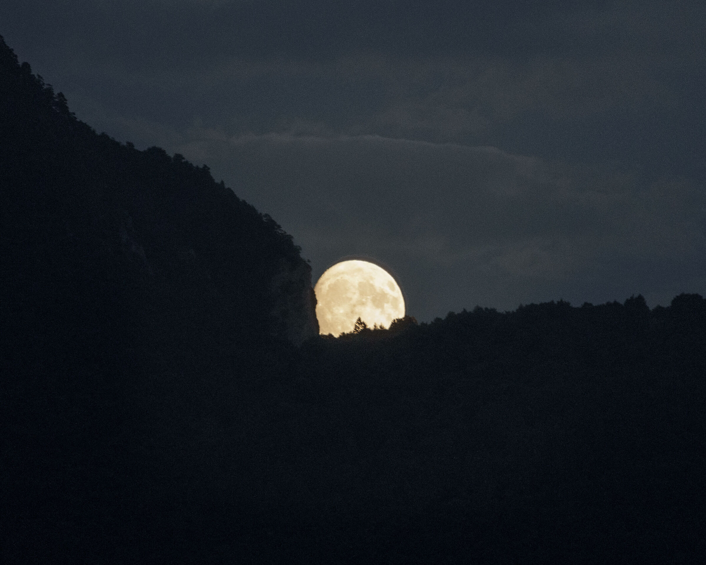 Untitled Photo