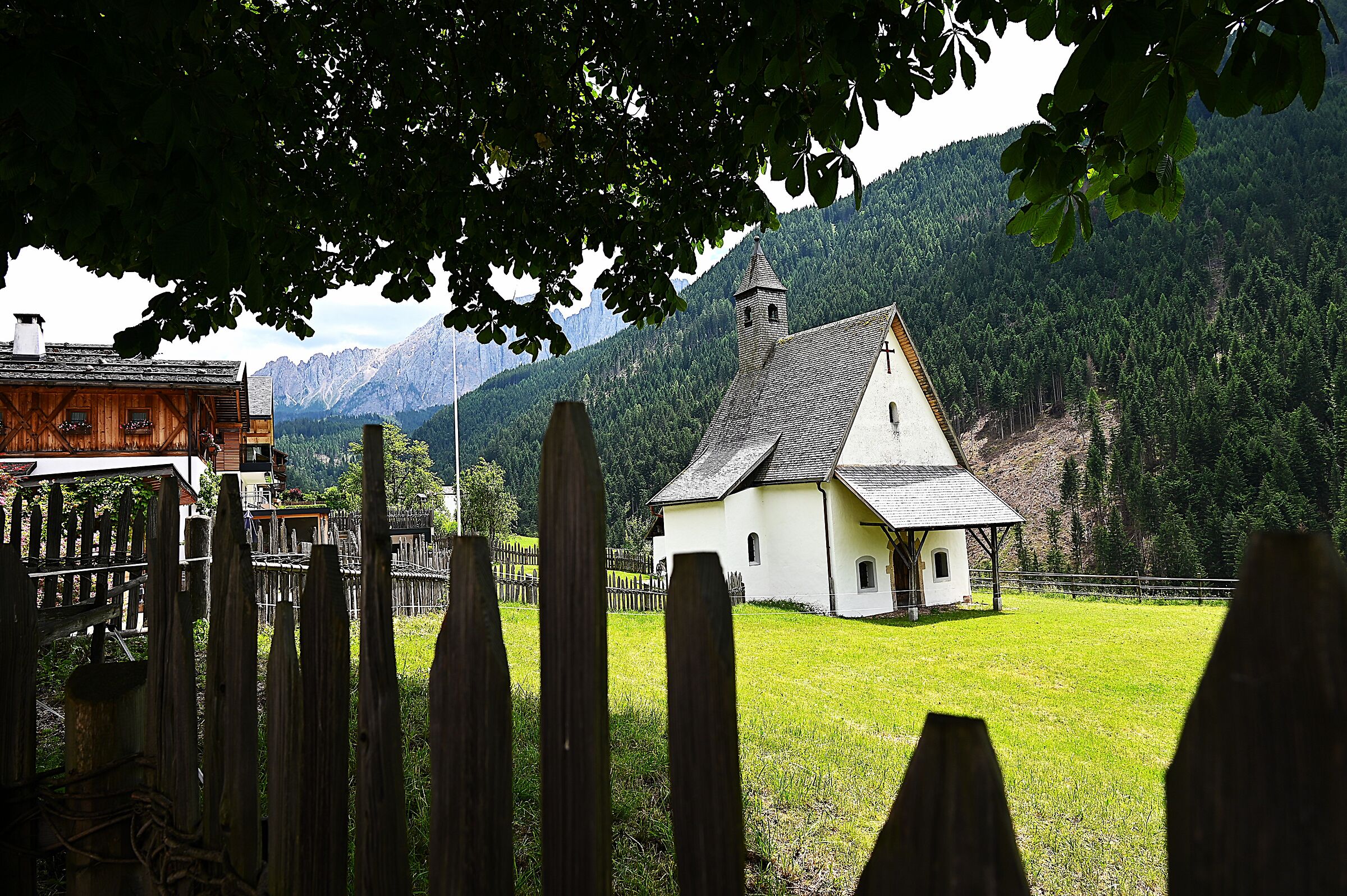 Capelletta near Tires.