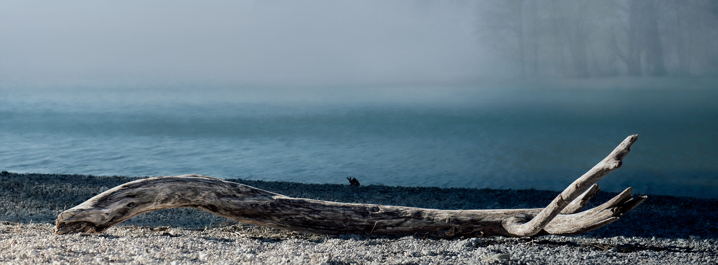 Wood, water and fog