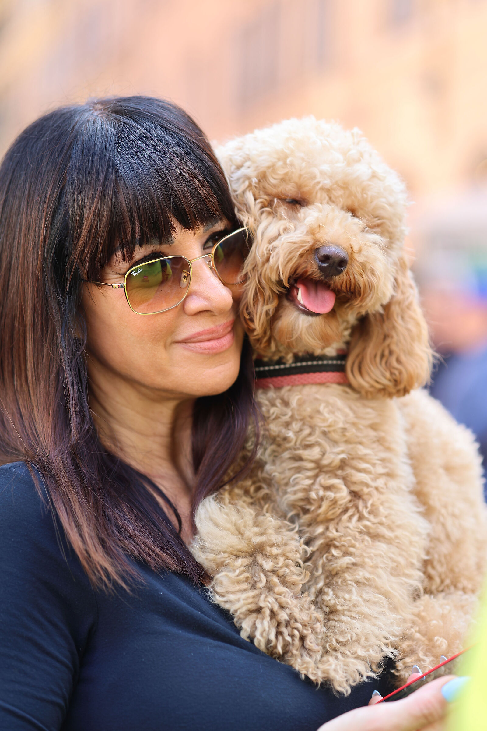 Il cane insegna all'uomo l'amore tra specie diverse