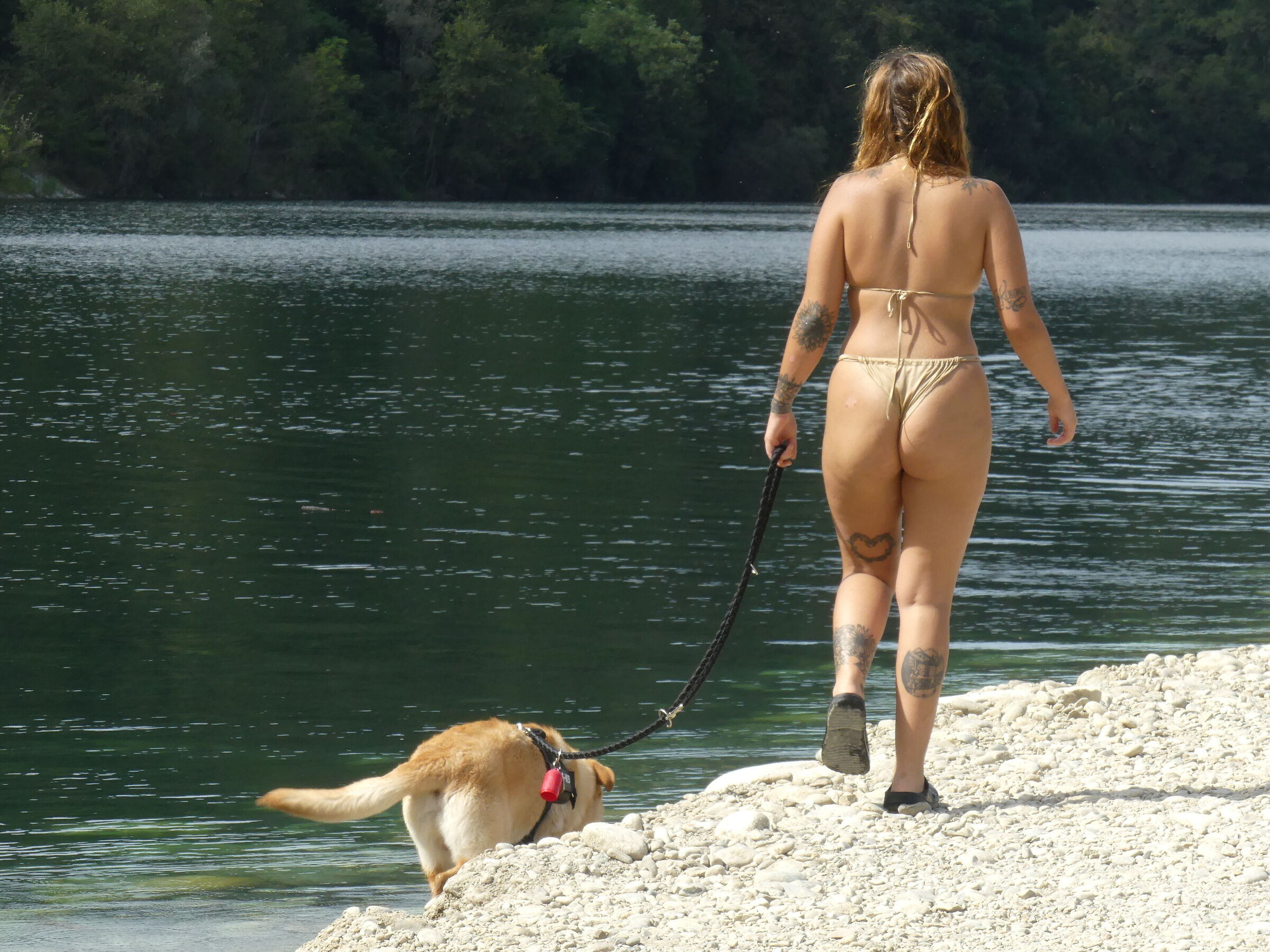 Along the banks of the Ticino