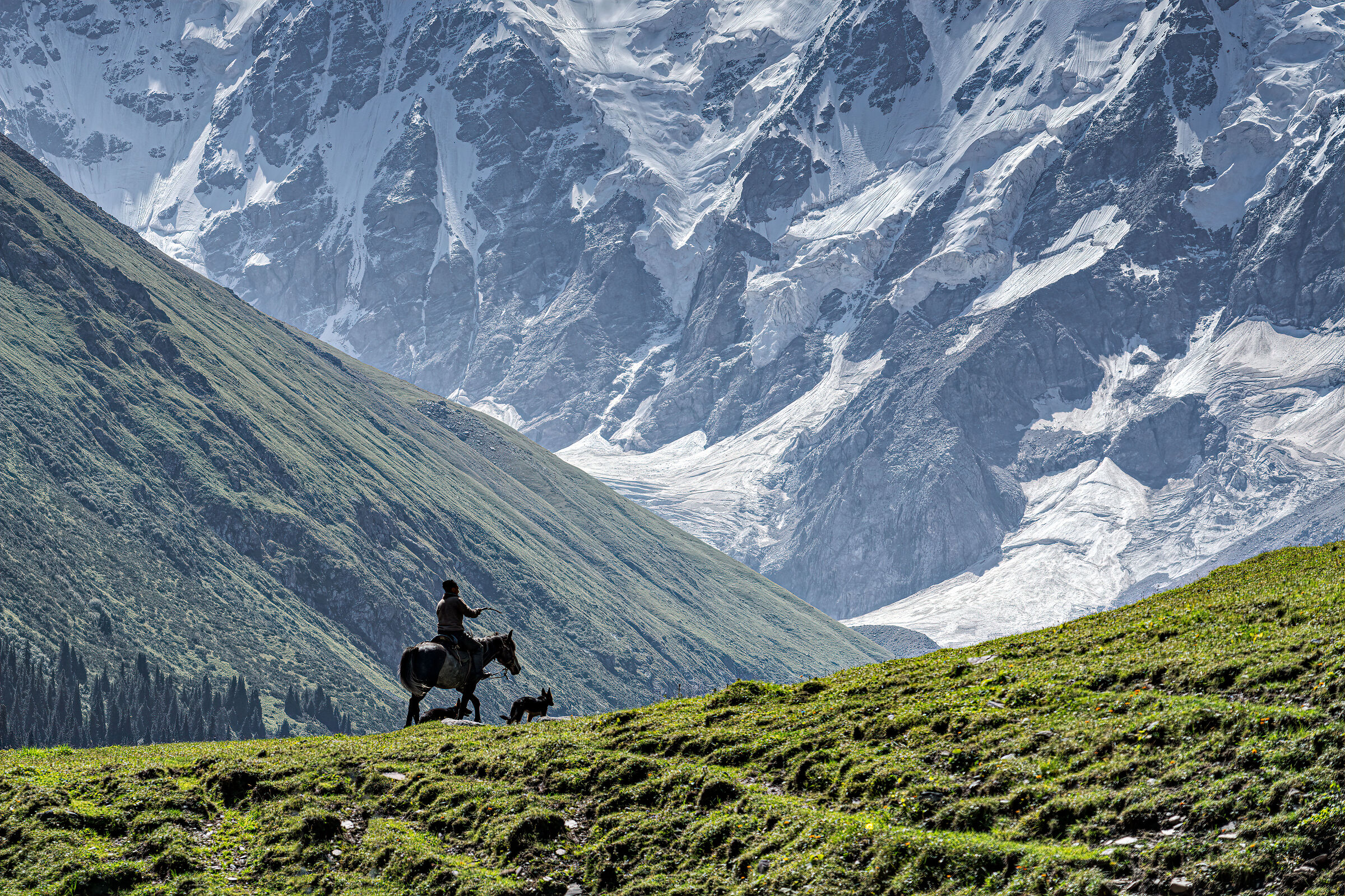 Vecchio pastore a cavallo a Oguz Bashi