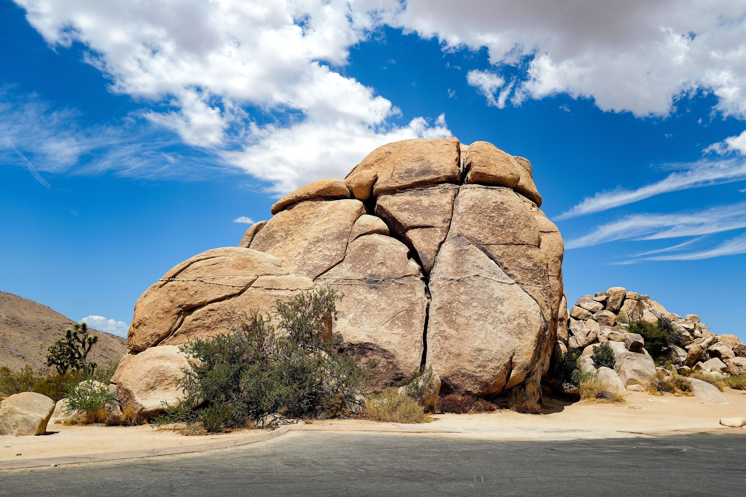 Joshua Tree National Park