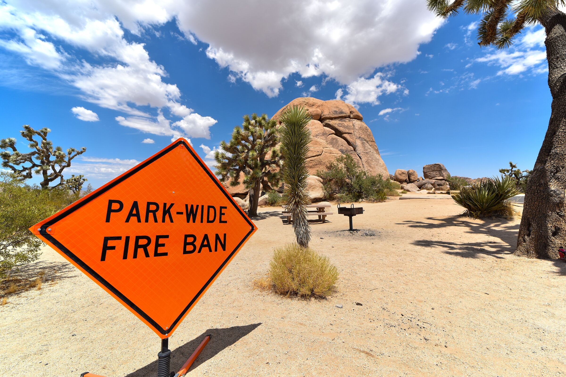 Joshua Tree National Park