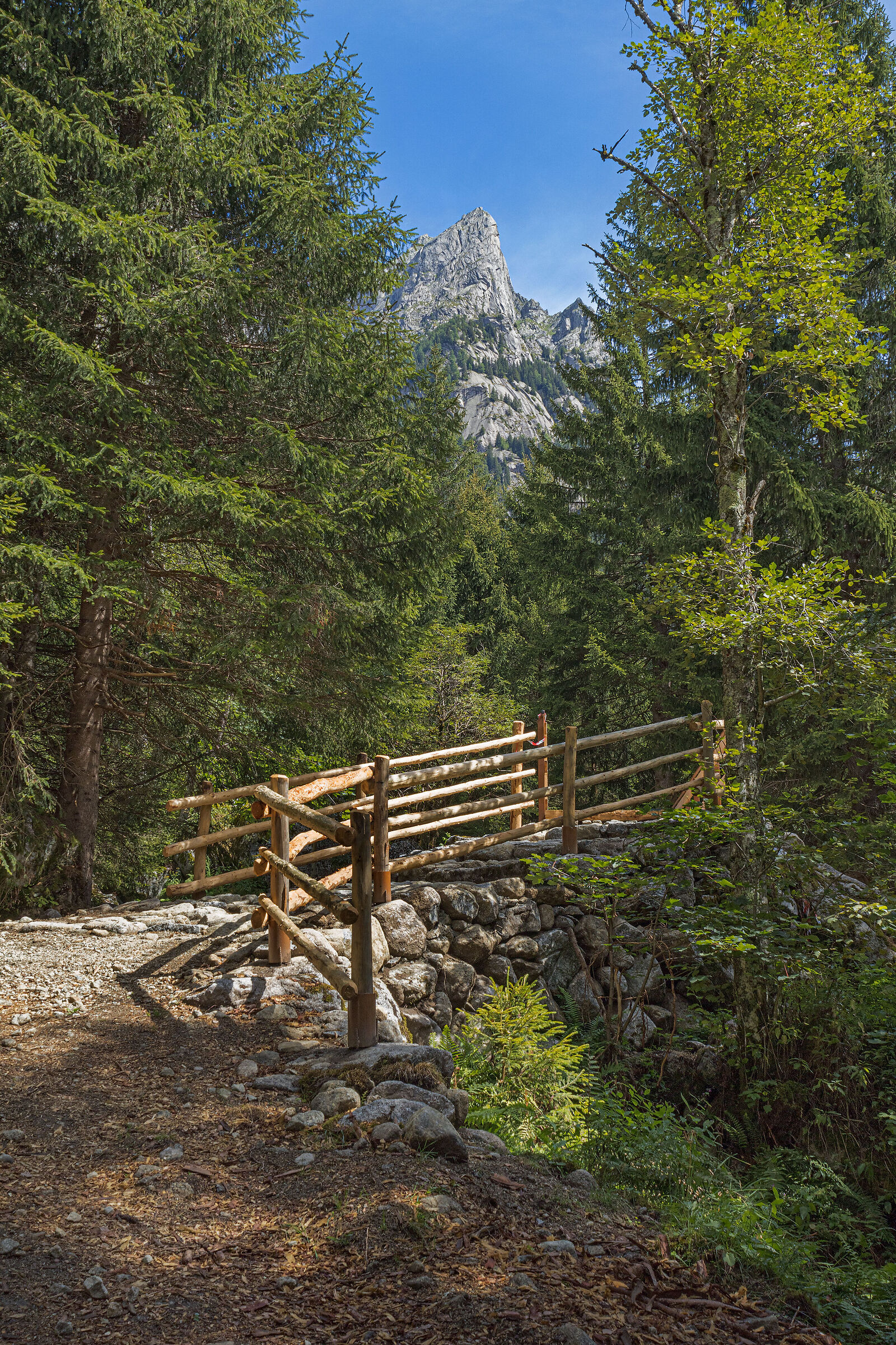 New bridge