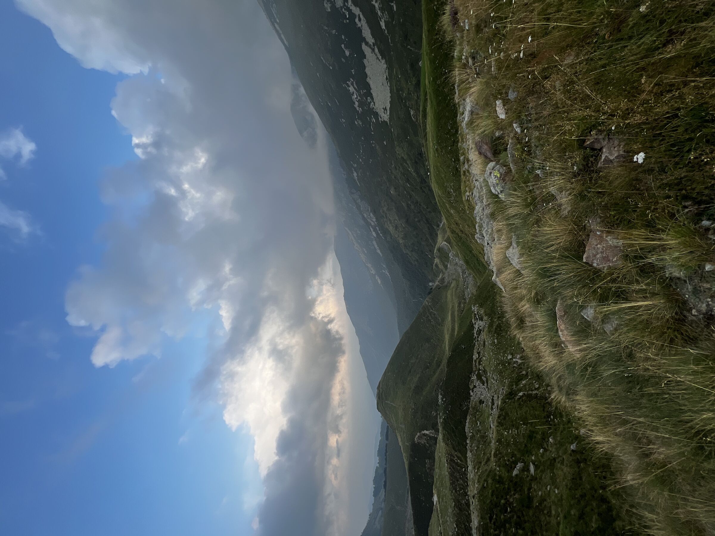 Vastità